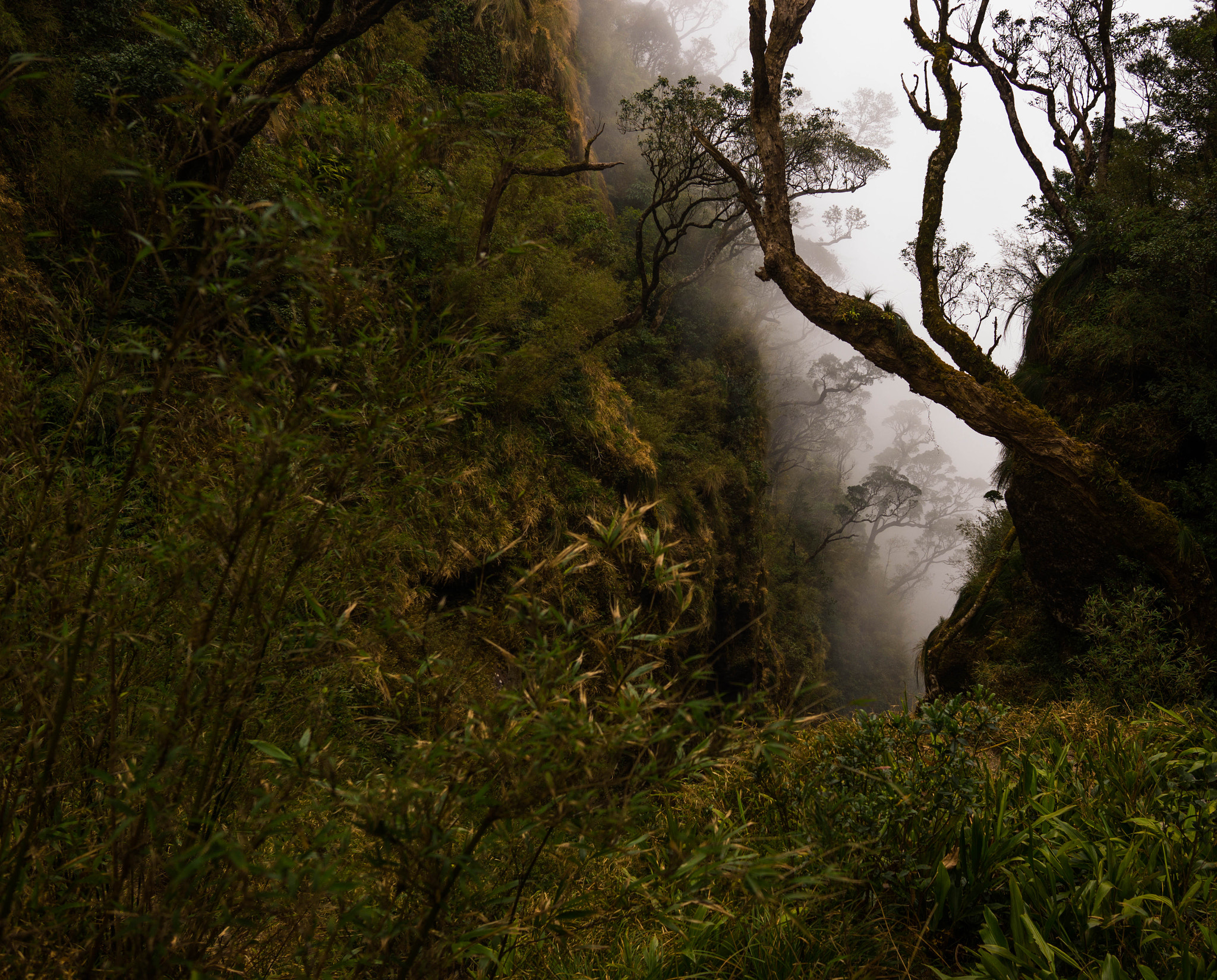 Sony Alpha NEX-7 + Sigma 19mm F2.8 EX DN sample photo. Smog photography