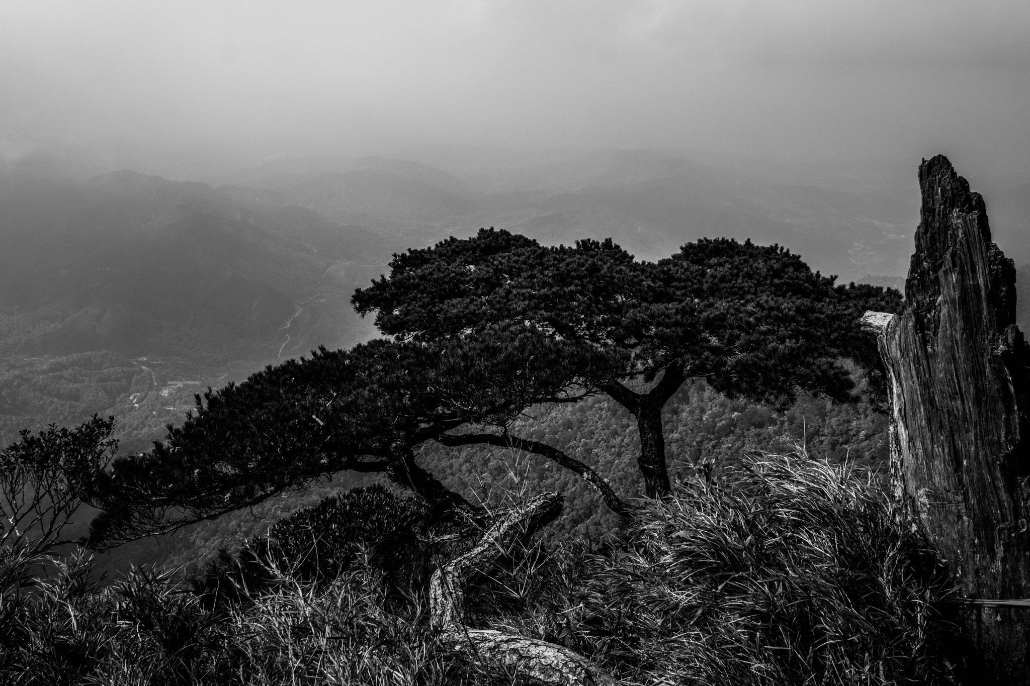 Sony Alpha NEX-7 + Sigma 19mm F2.8 EX DN sample photo. Waiting until the end of the world photography