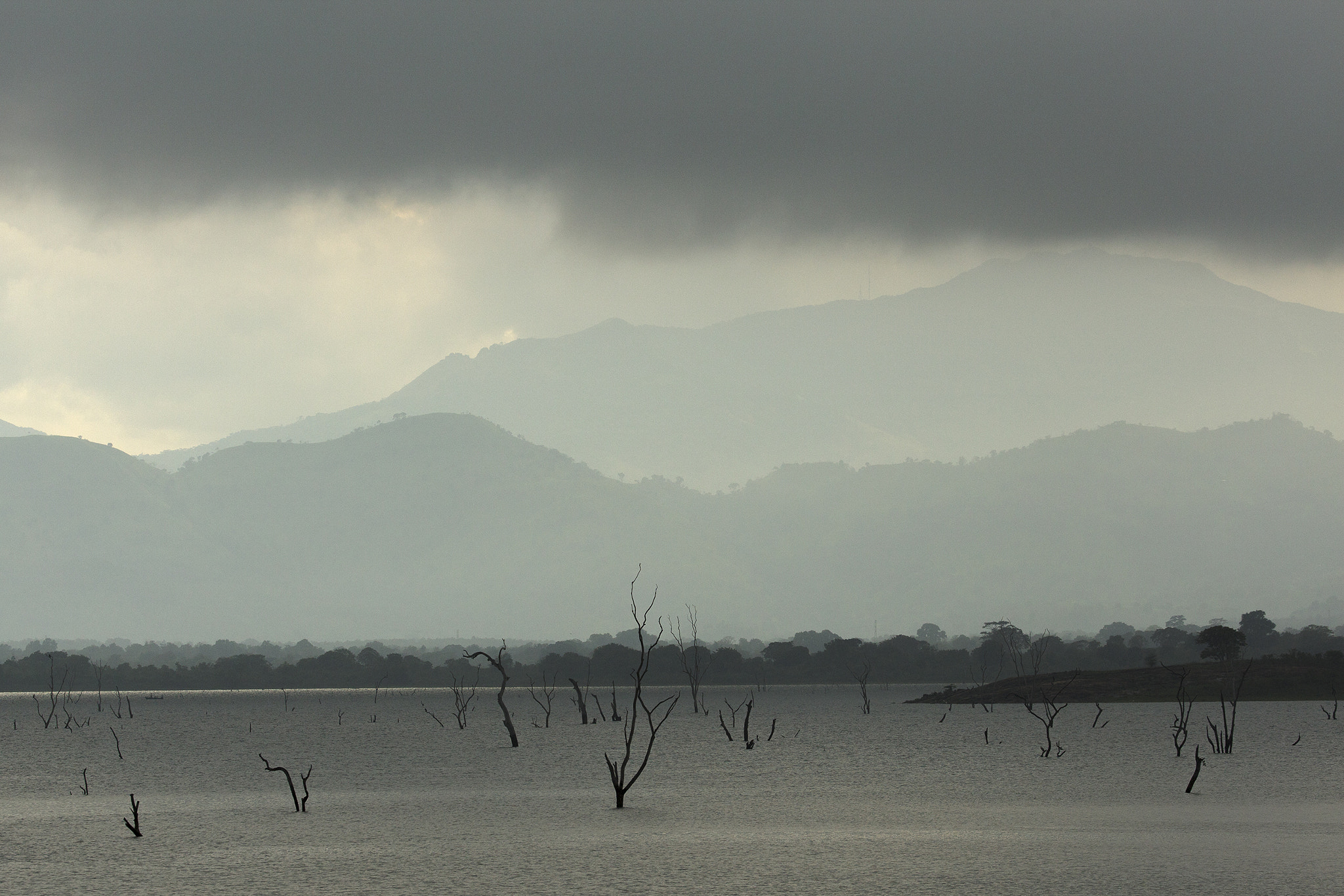 Canon EOS 5D Mark II + Canon EF 200-400mm F4L IS USM Extender 1.4x sample photo. Monsoon_arrival photography