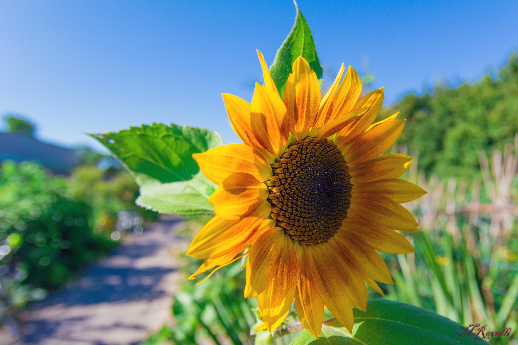 Samsung NX30 + Samsung NX 12-24mm F4-5.6 ED sample photo. Campo volo photography