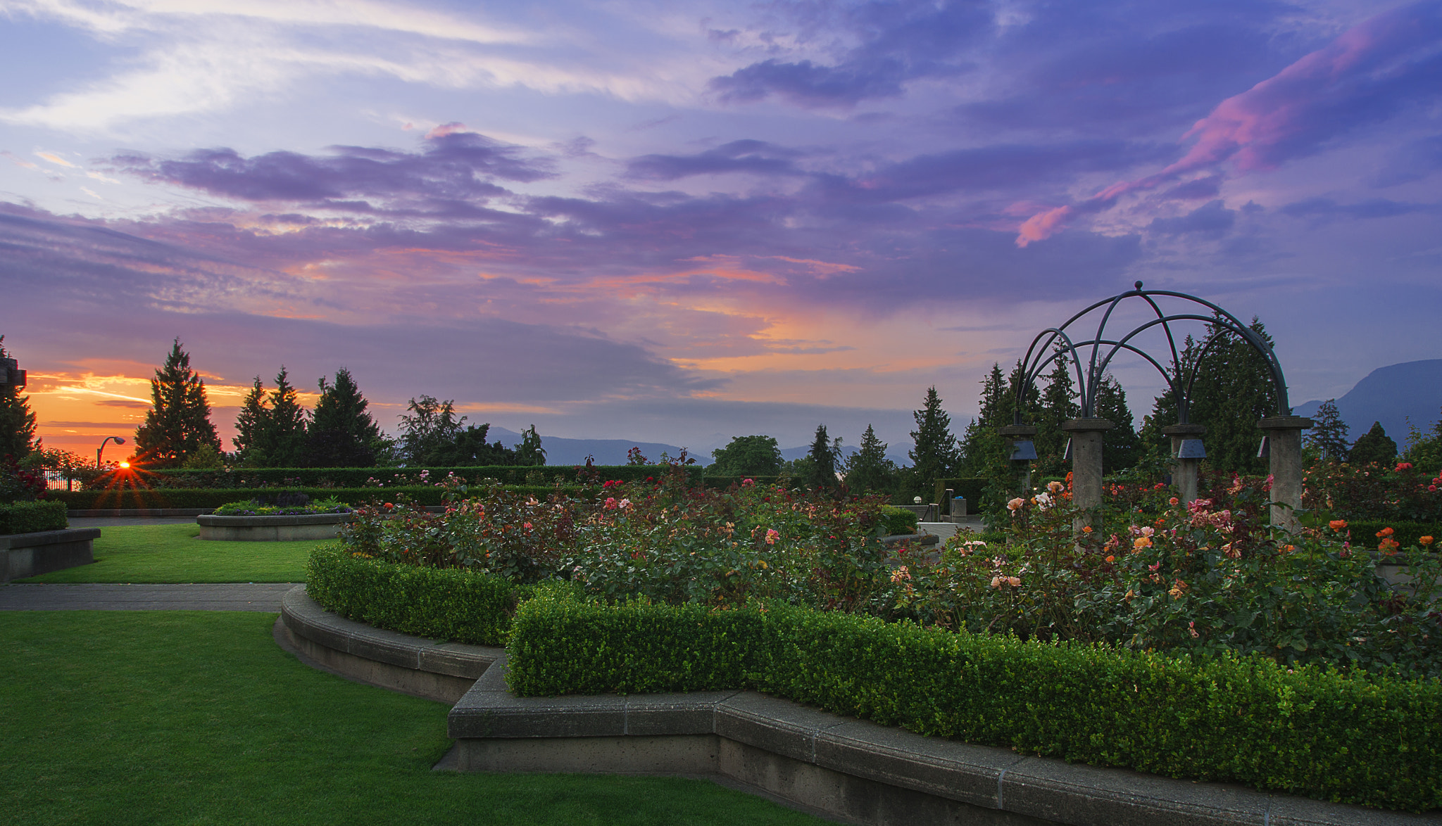 Pentax K-5 IIs sample photo. Rose garden photography