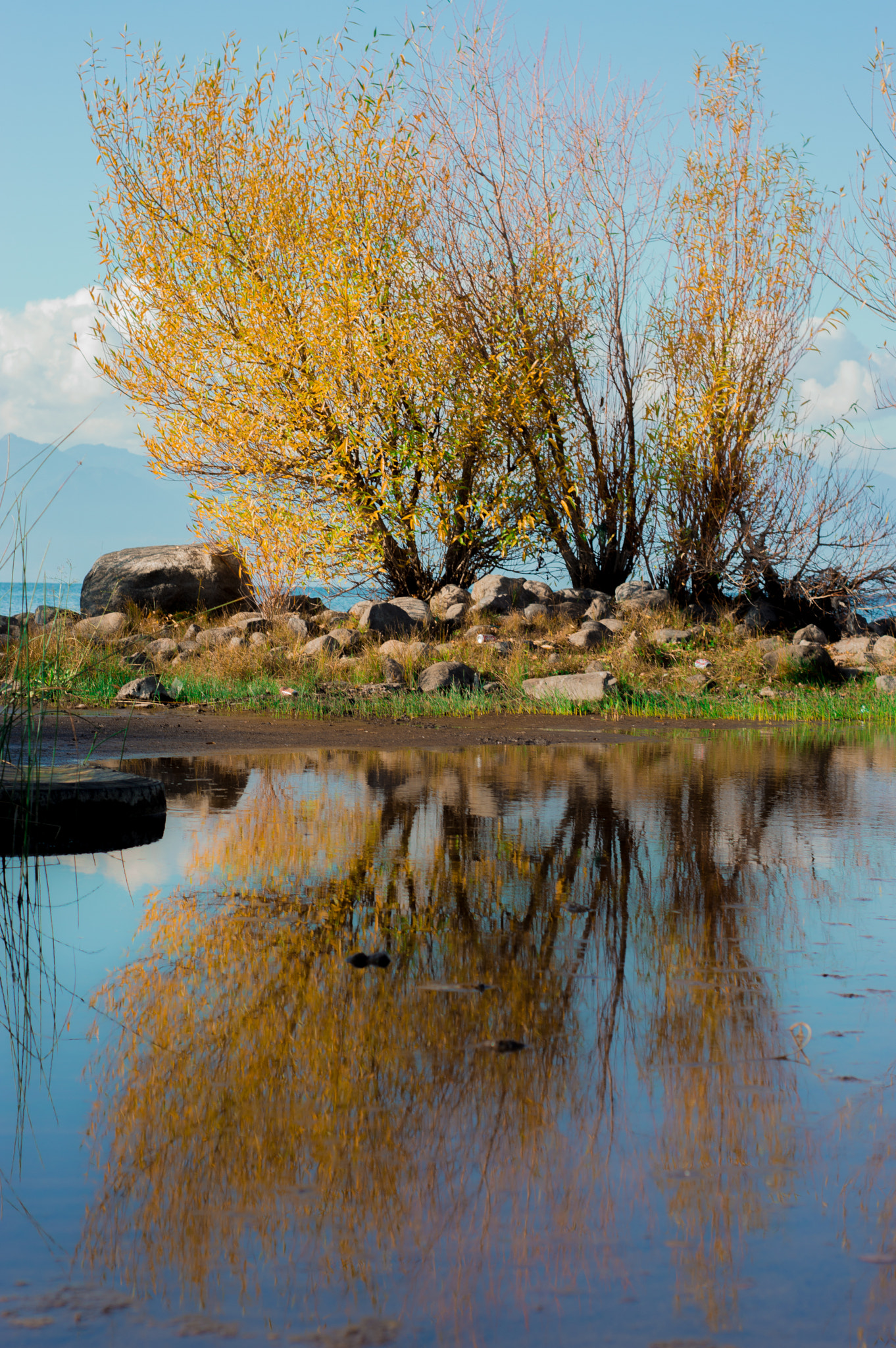 Nikon D3200 + AF Nikkor 50mm f/1.8 sample photo. Villarrica photography