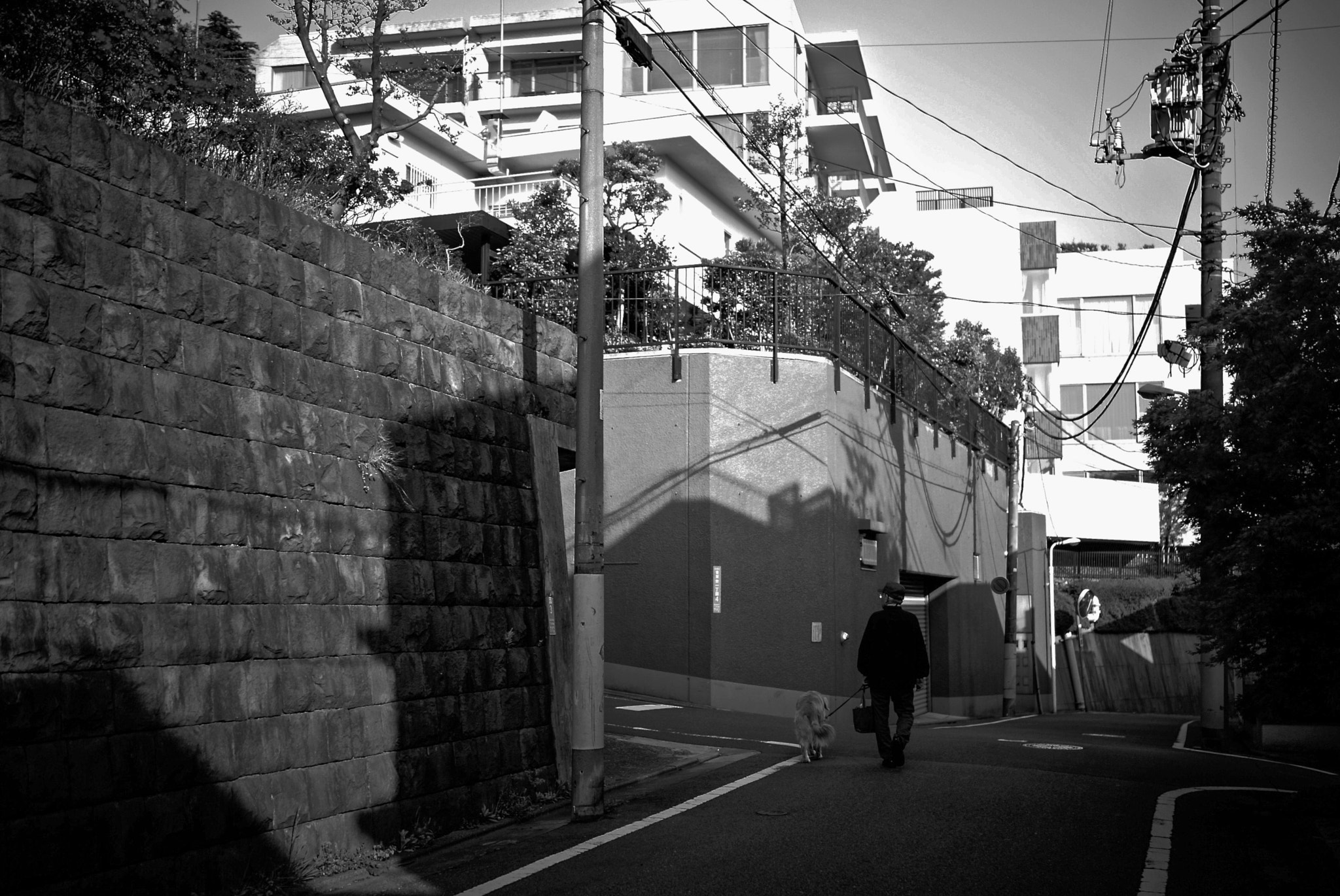 Sony Cyber-shot DSC-RX1 + Sony 35mm F2.0 sample photo