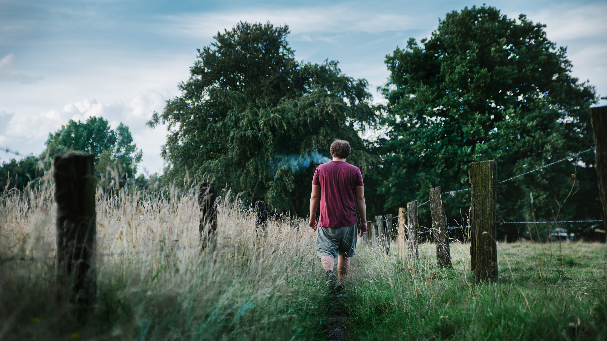 Nikon D7200 + Sigma 18-50mm F2.8 EX DC Macro sample photo. Evening walk photography