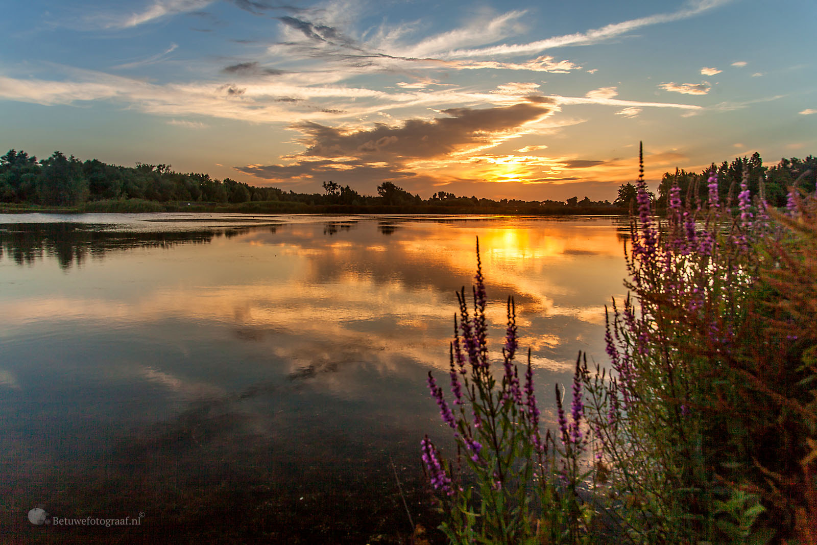 Sigma 24-105mm f/4 DG OS HSM | A sample photo. The beauty of nature......... photography