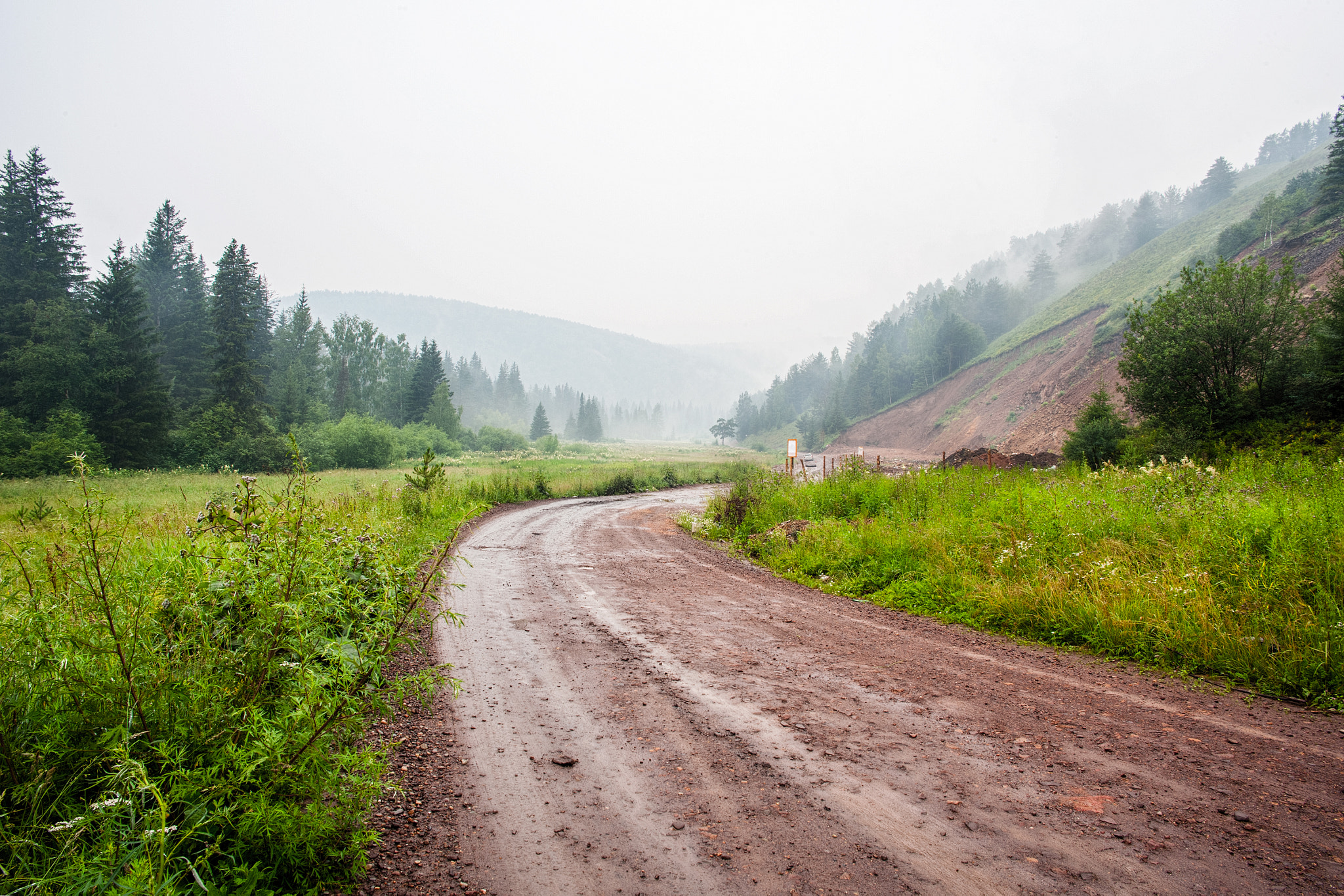 Canon EOS-1Ds Mark II sample photo. Fog photography