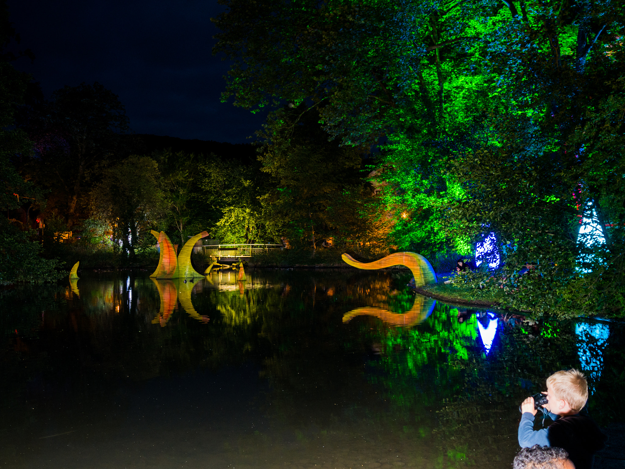 Panasonic DMC-G70 + Sigma 19mm F2.8 DN Art sample photo. Lichterfest mosbach i photography