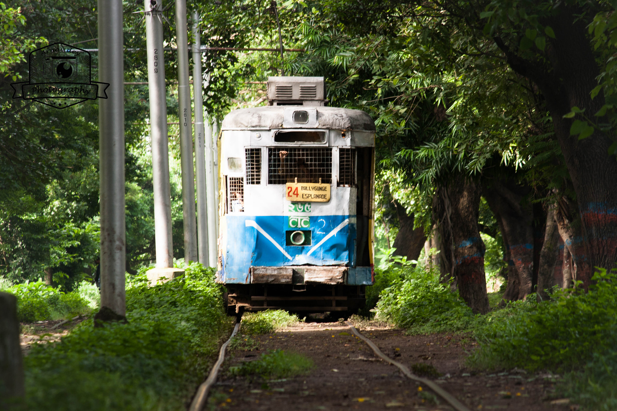 Canon EOS 1000D (EOS Digital Rebel XS / EOS Kiss F) sample photo. Soul of kolkata photography