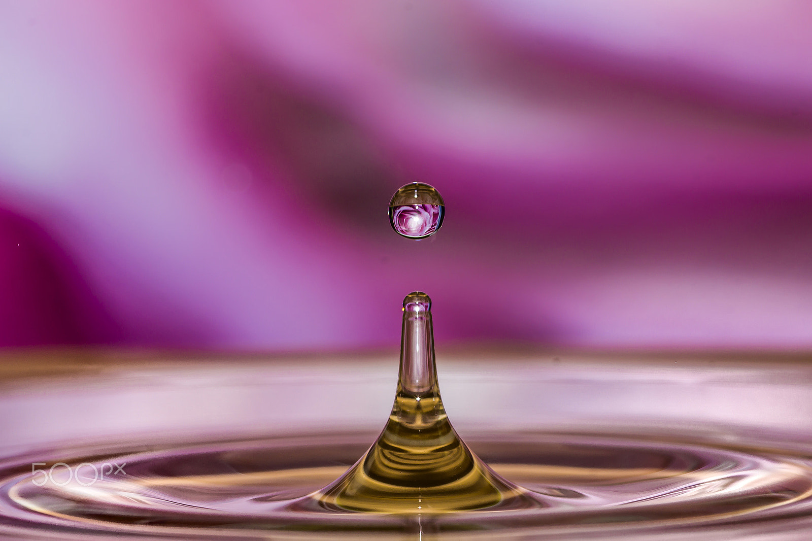 Canon EOS 600D (Rebel EOS T3i / EOS Kiss X5) + Tamron SP AF 90mm F2.8 Di Macro sample photo. Water droplet magic photography
