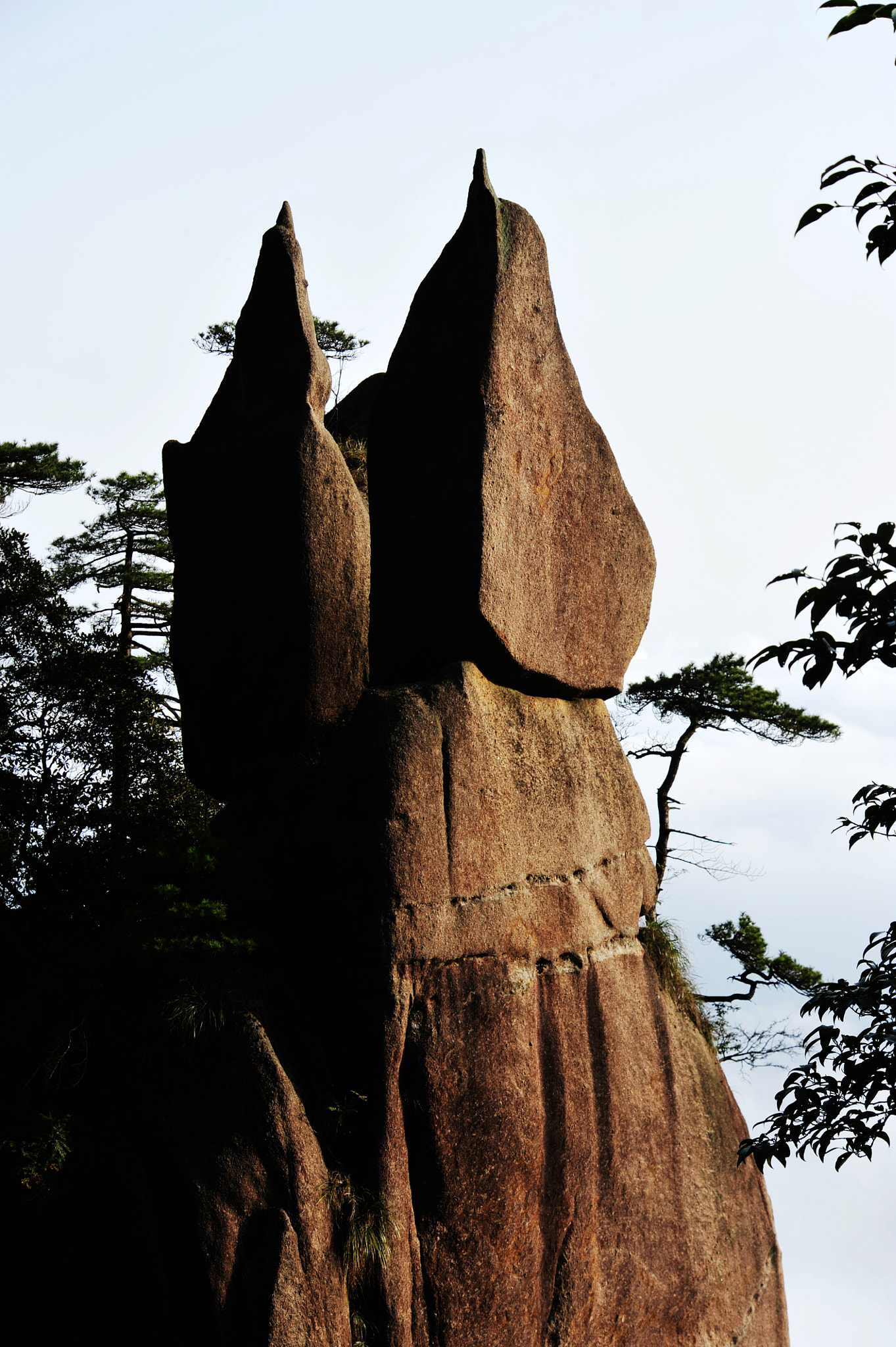 Nikon D3 sample photo. Utter a long and loud cry photography
