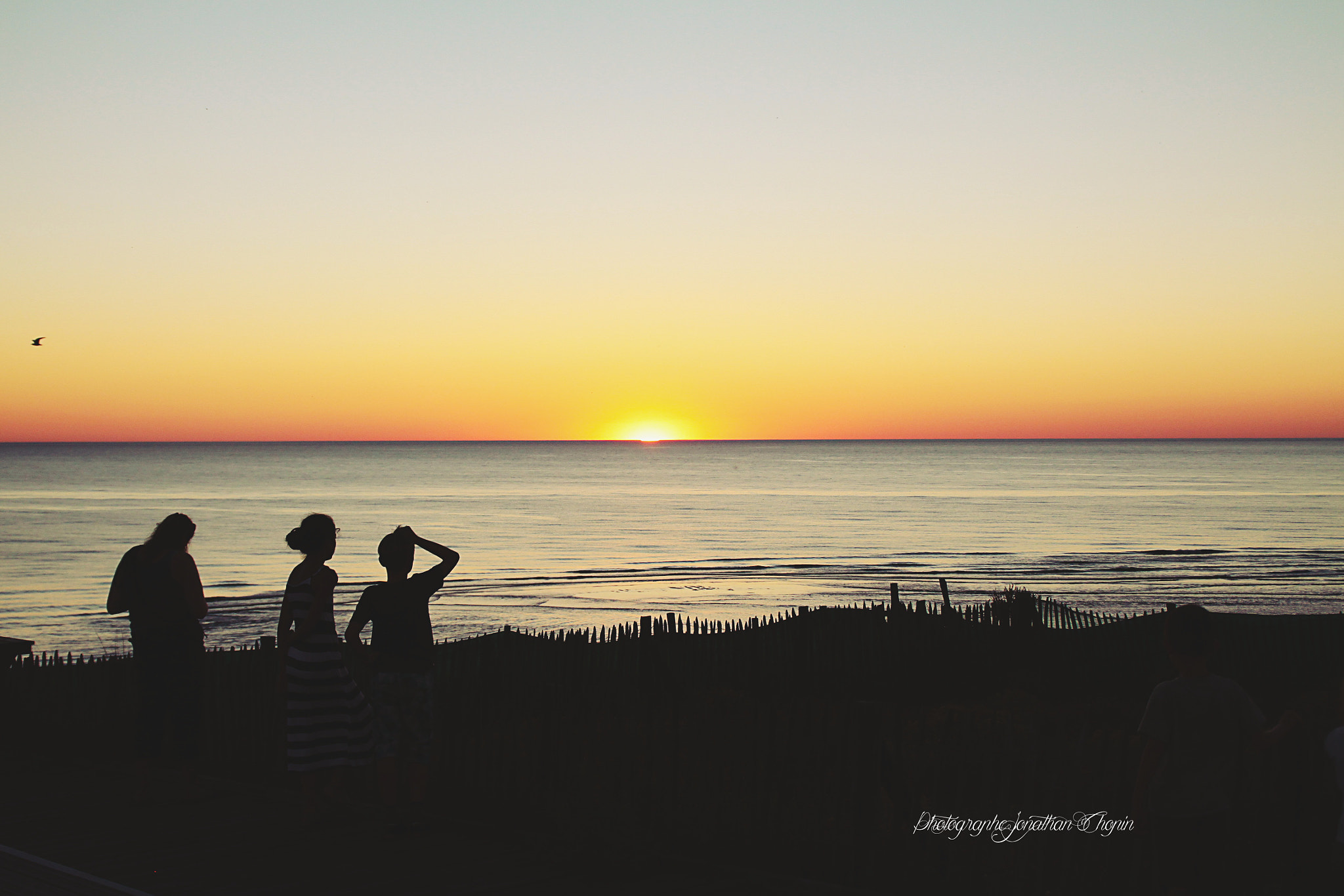 Canon EOS 50D sample photo. Plage contis (40) photography