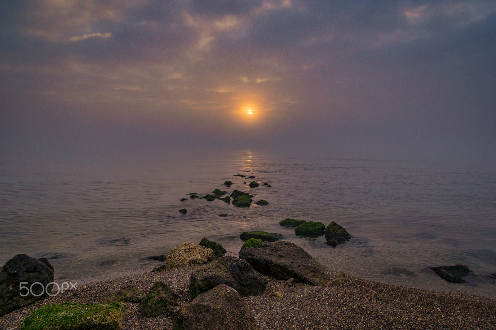 Sony SLT-A77 sample photo. Winter fog photography