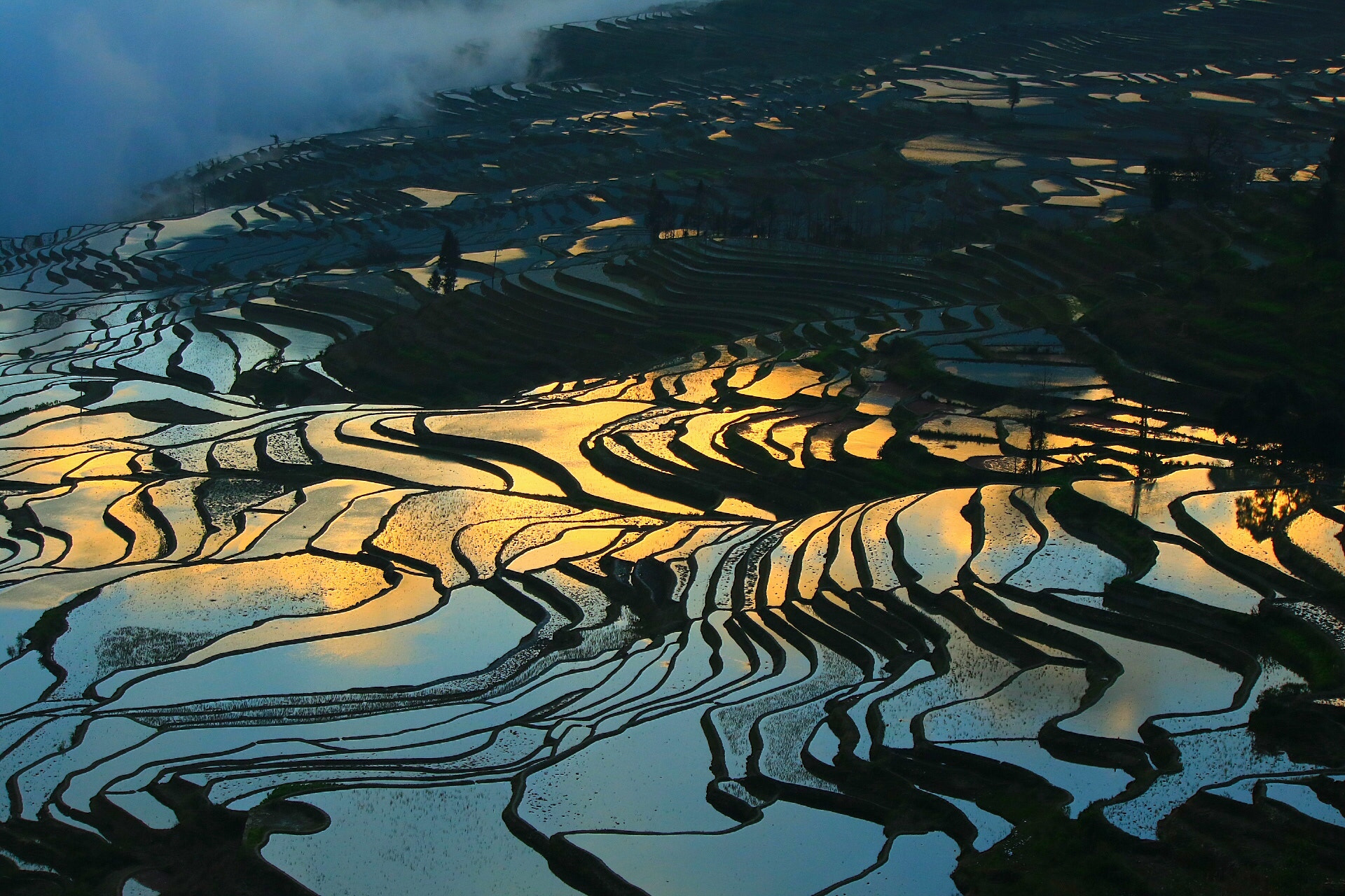 Canon EF-S 55-250mm F4-5.6 IS sample photo. Sun raising and colorful field photography