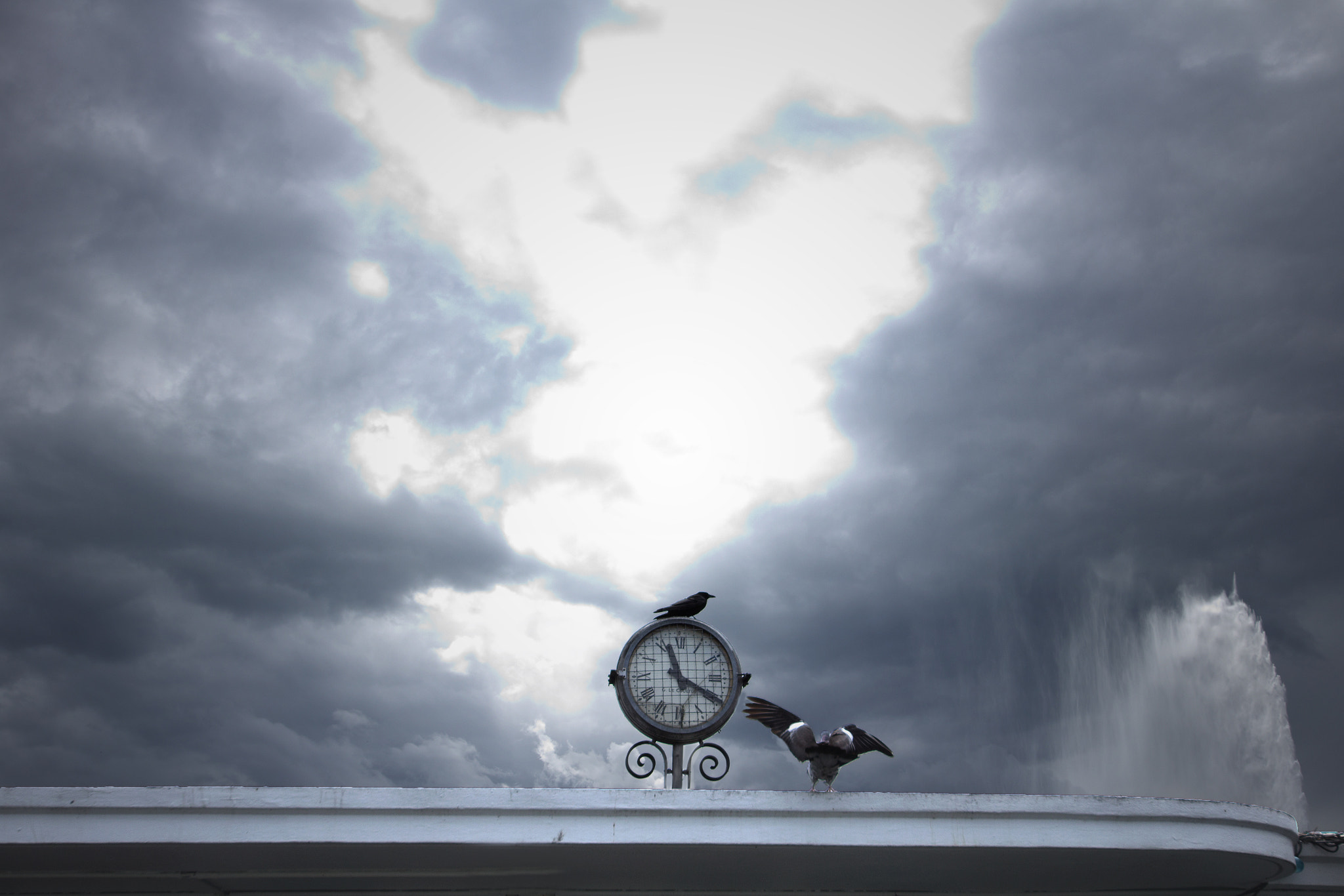 Sigma 12-24mm F4.5-5.6 II DG HSM sample photo. Horloges oiseaux photography