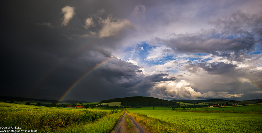 Nikon D3S sample photo. Rainbow photography