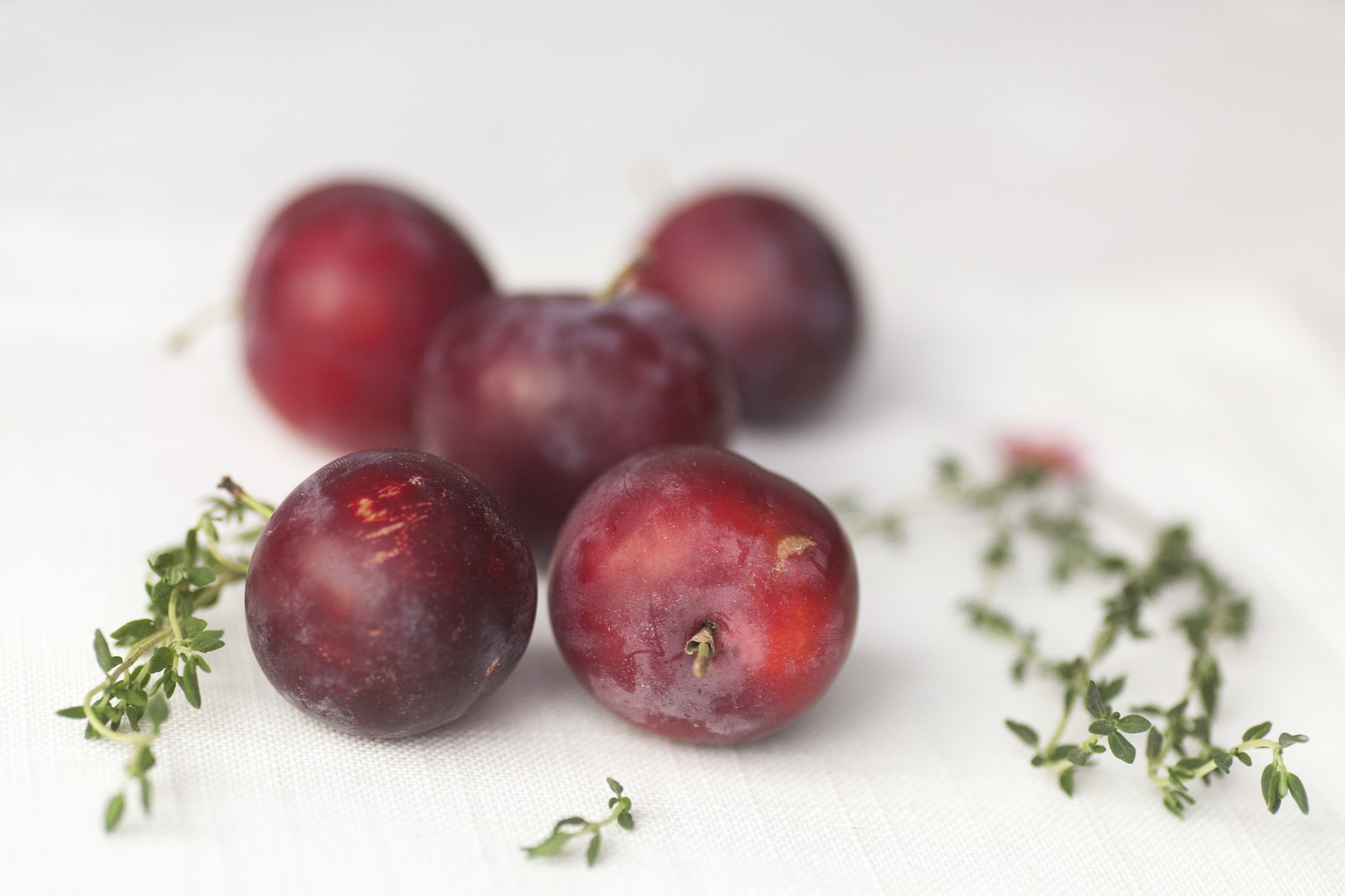Canon EOS 5D + Tamron SP AF 90mm F2.8 Di Macro sample photo. Red plums and thyme photography