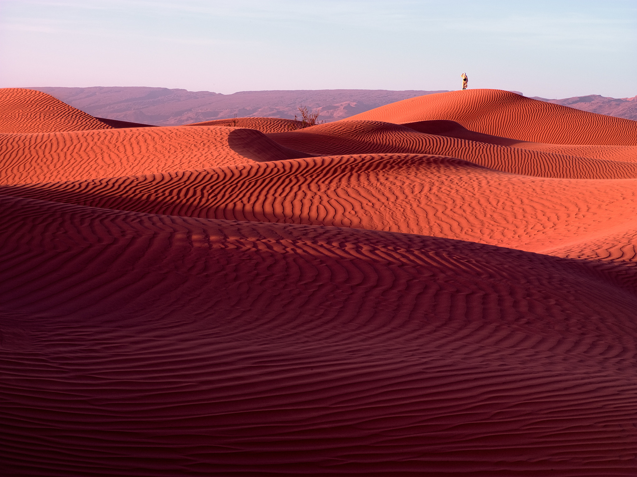 Hasselblad H4D sample photo. Desert photography