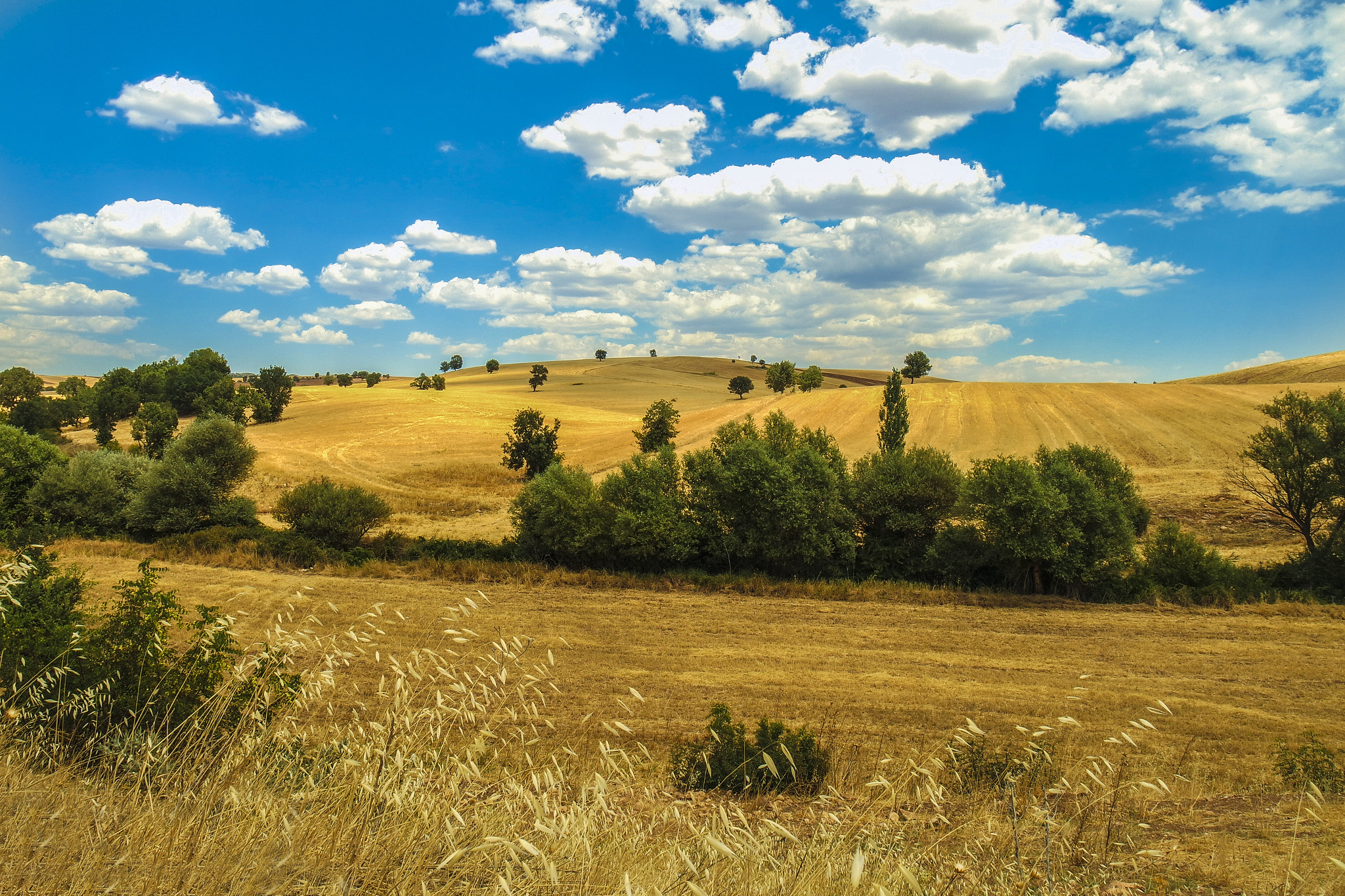 Samsung NX mini sample photo. Hot summer photography