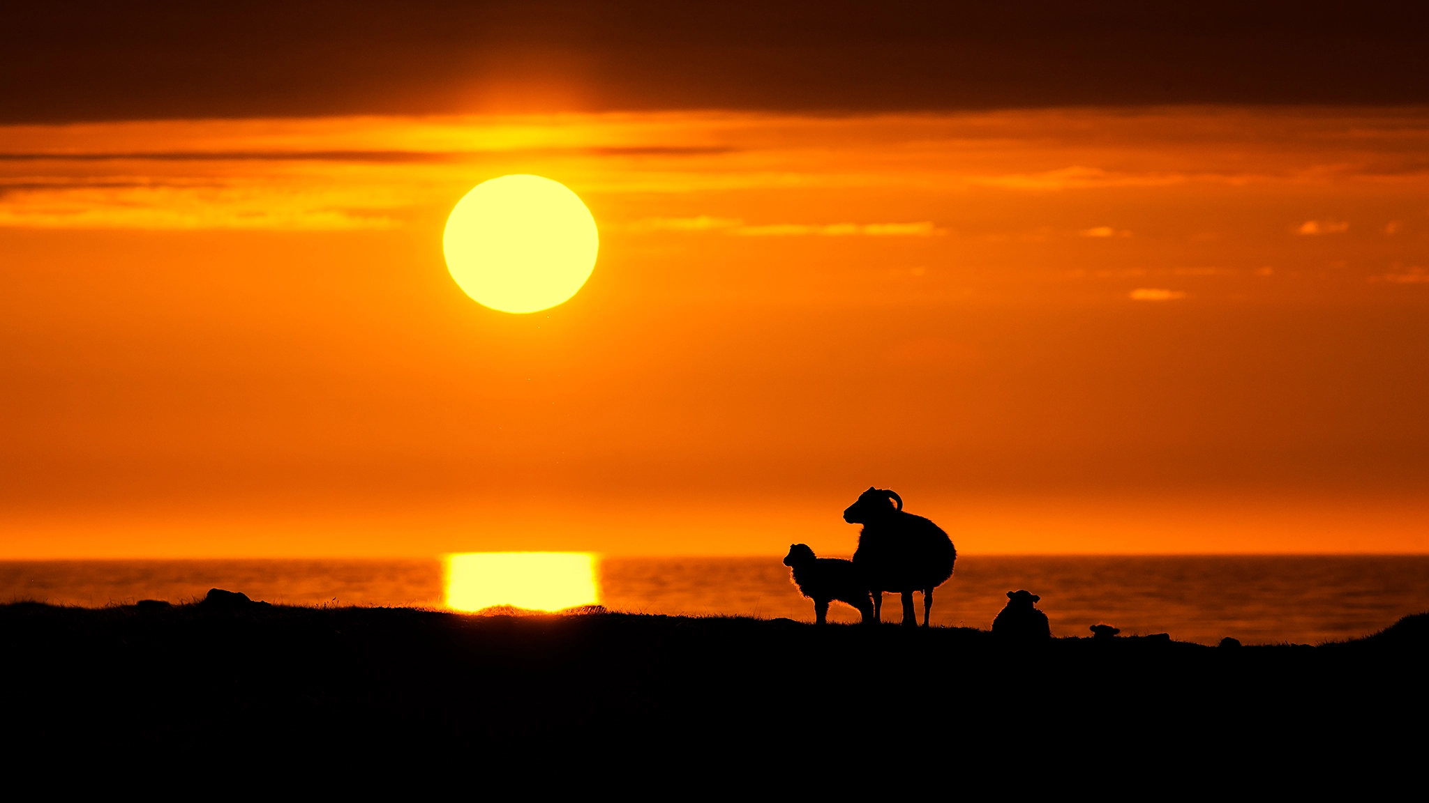 Canon EF 400mm F5.6L USM sample photo. Midnight sun photography