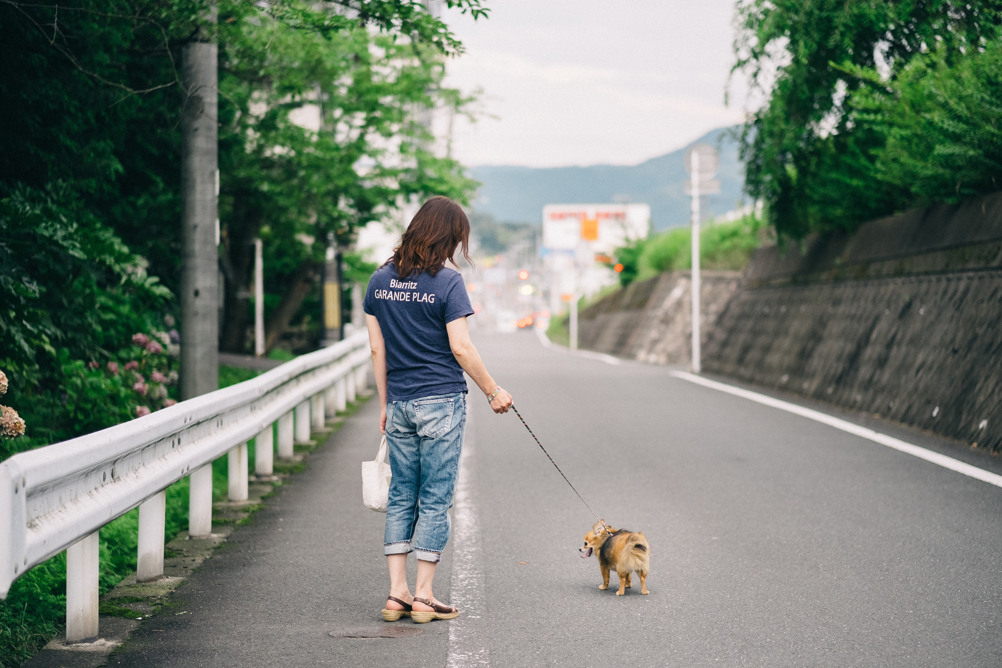 Fujifilm X-T10 + Fujifilm XF 56mm F1.2 R APD sample photo. Walk in the neighborhood photography