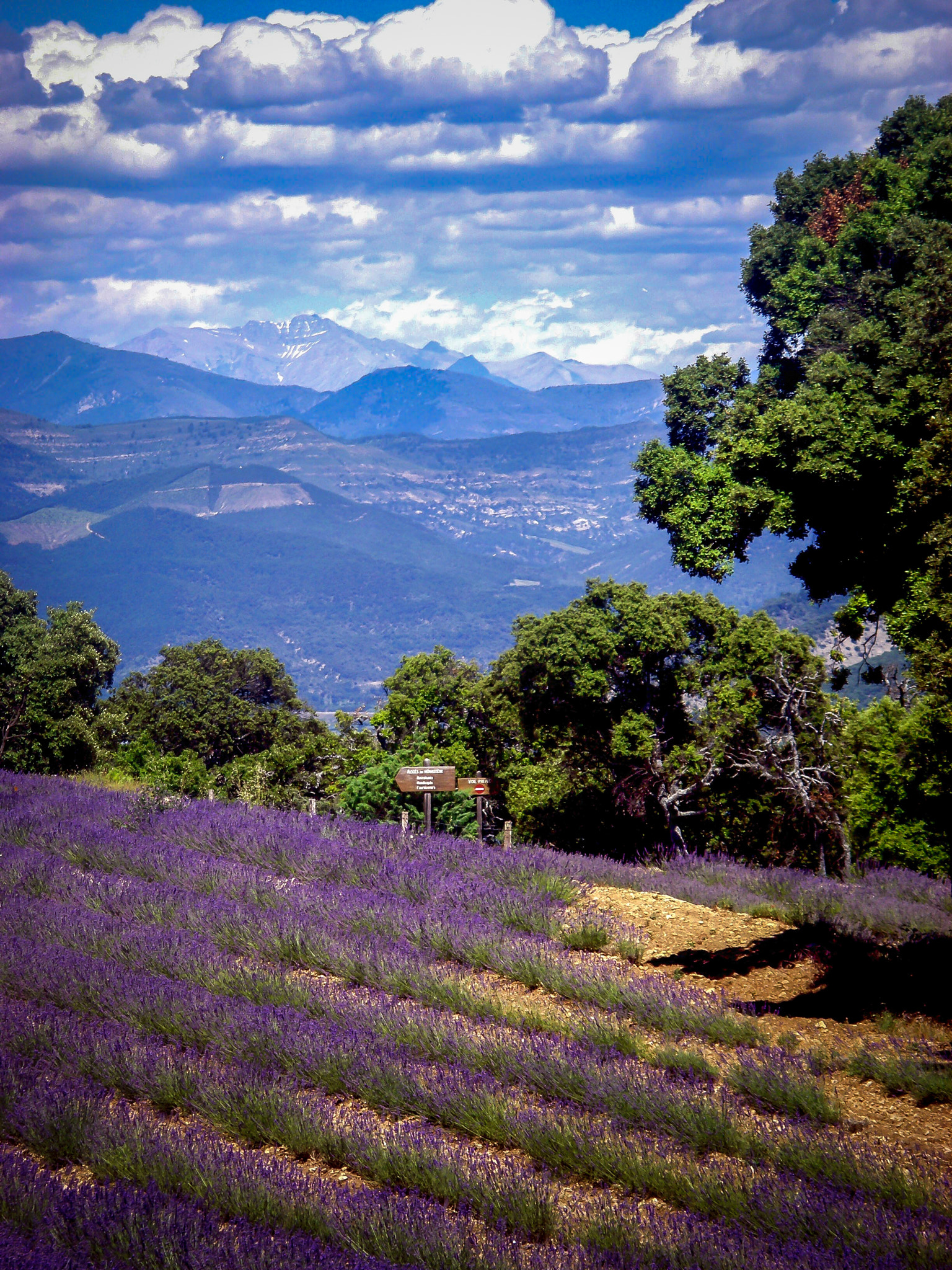 Pentax OPTIO Z10 sample photo. Reflets de provence photography