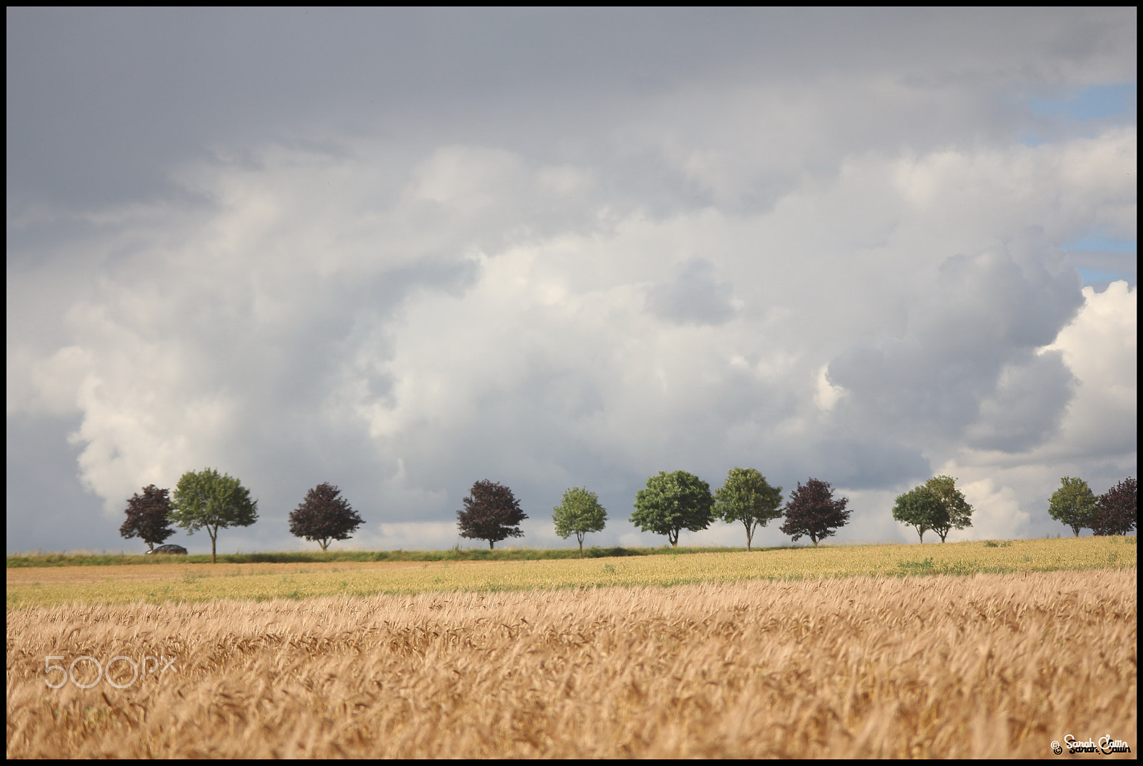 Canon EOS 700D (EOS Rebel T5i / EOS Kiss X7i) + Canon EF 100-300mm f/5.6 sample photo. Plaine champenoise photography