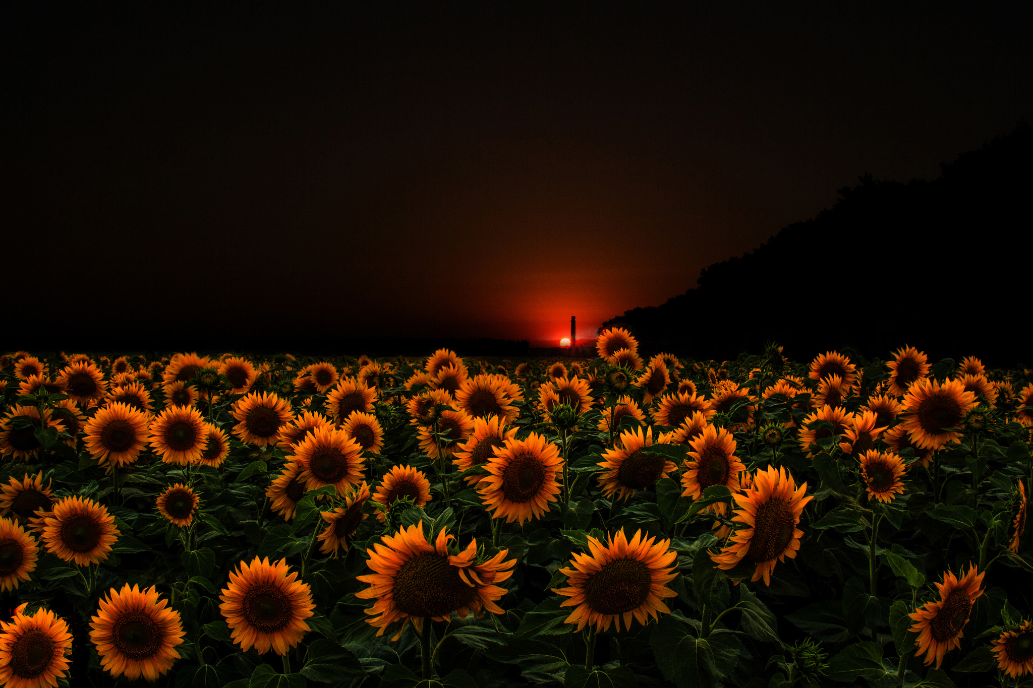 Canon EF 24mm F2.8 IS USM sample photo. На закате photography