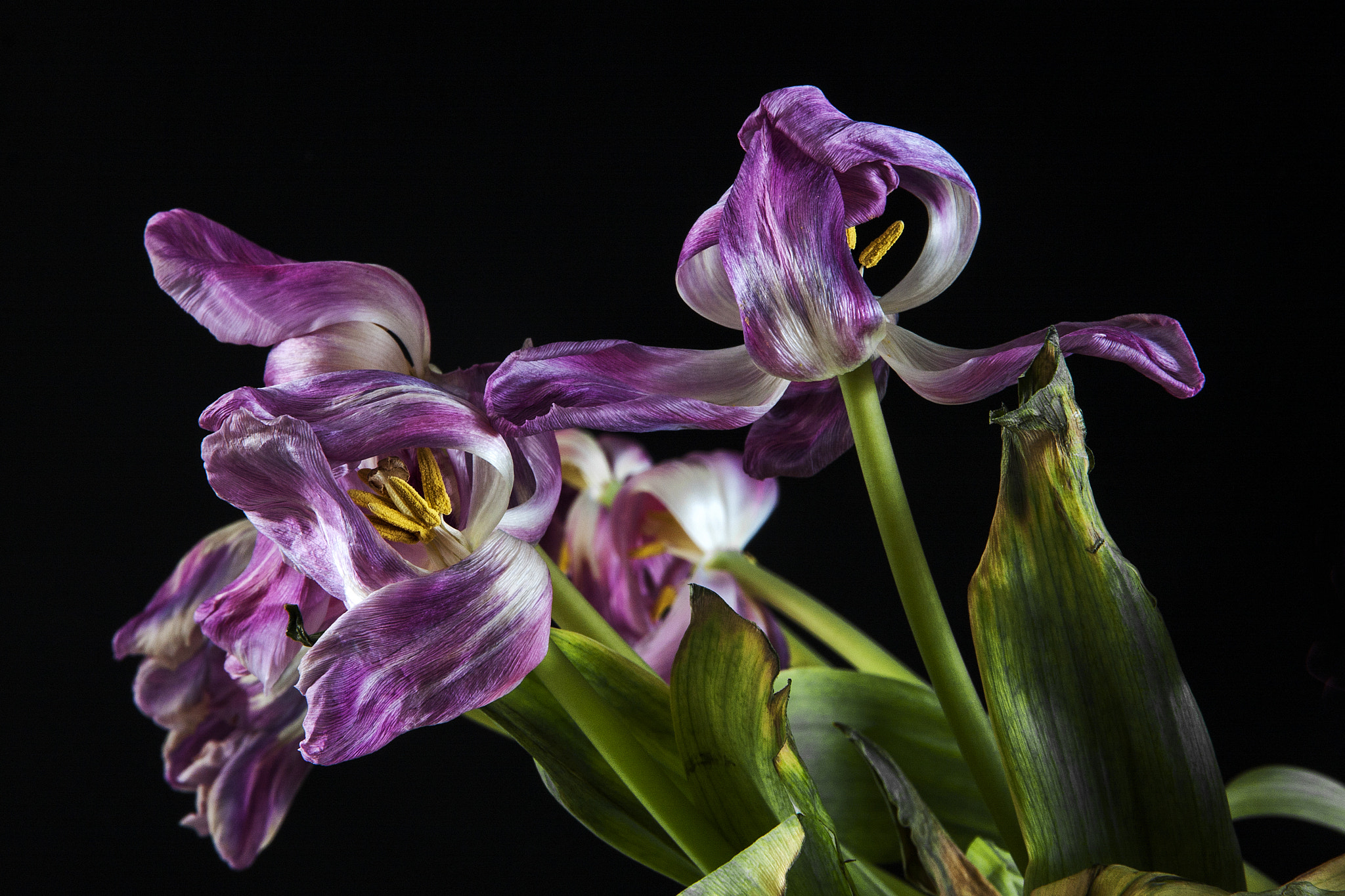 Canon EOS 40D sample photo. Passing photography