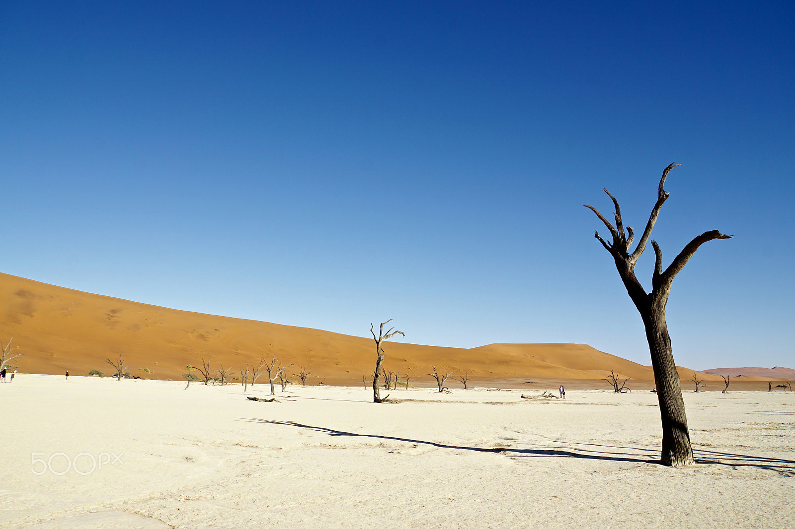 Sony a6000 + Sony E 18-200mm F3.5-6.3 sample photo. Deadvlei photography