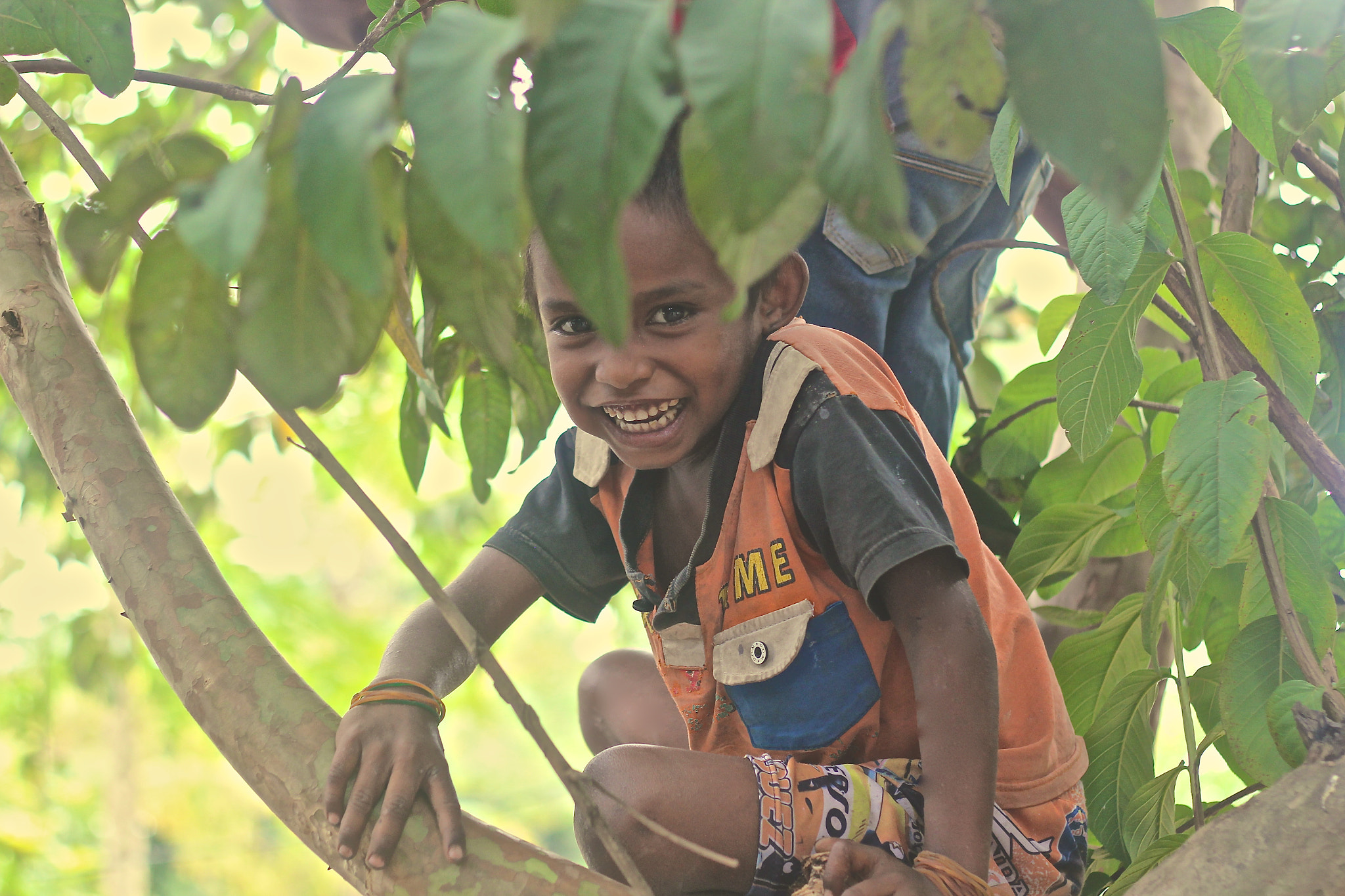 Canon EOS 550D (EOS Rebel T2i / EOS Kiss X4) + Canon EF 50mm F1.8 II sample photo. Boy in tree photography