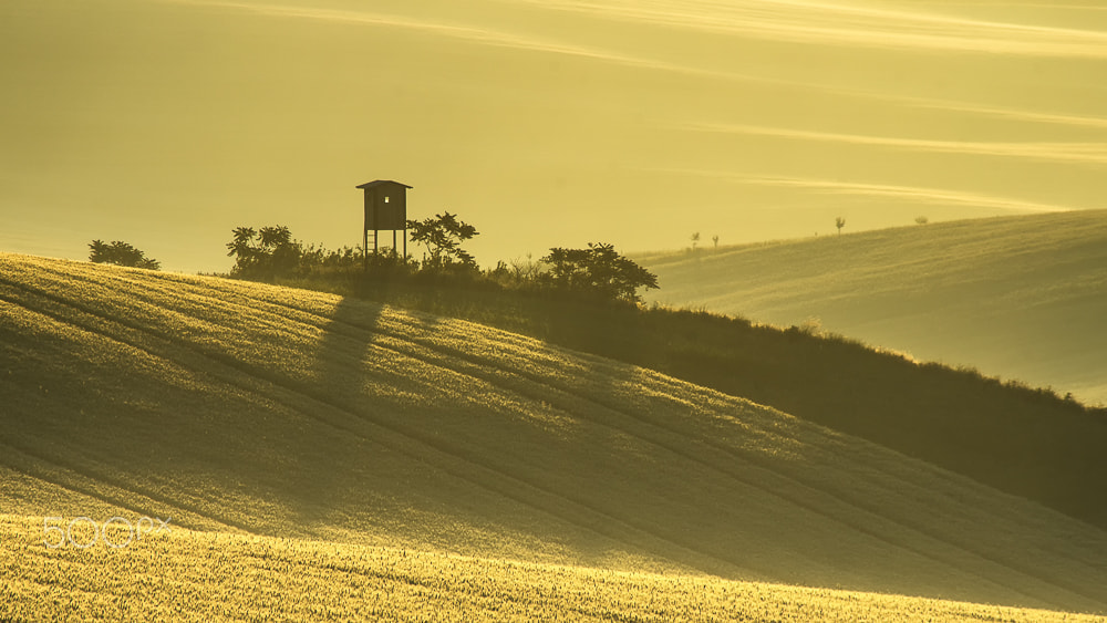 Pentax K-5 II + HD Pentax DA 55-300mm F4.0-5.8 ED WR sample photo. Early sunlight photography