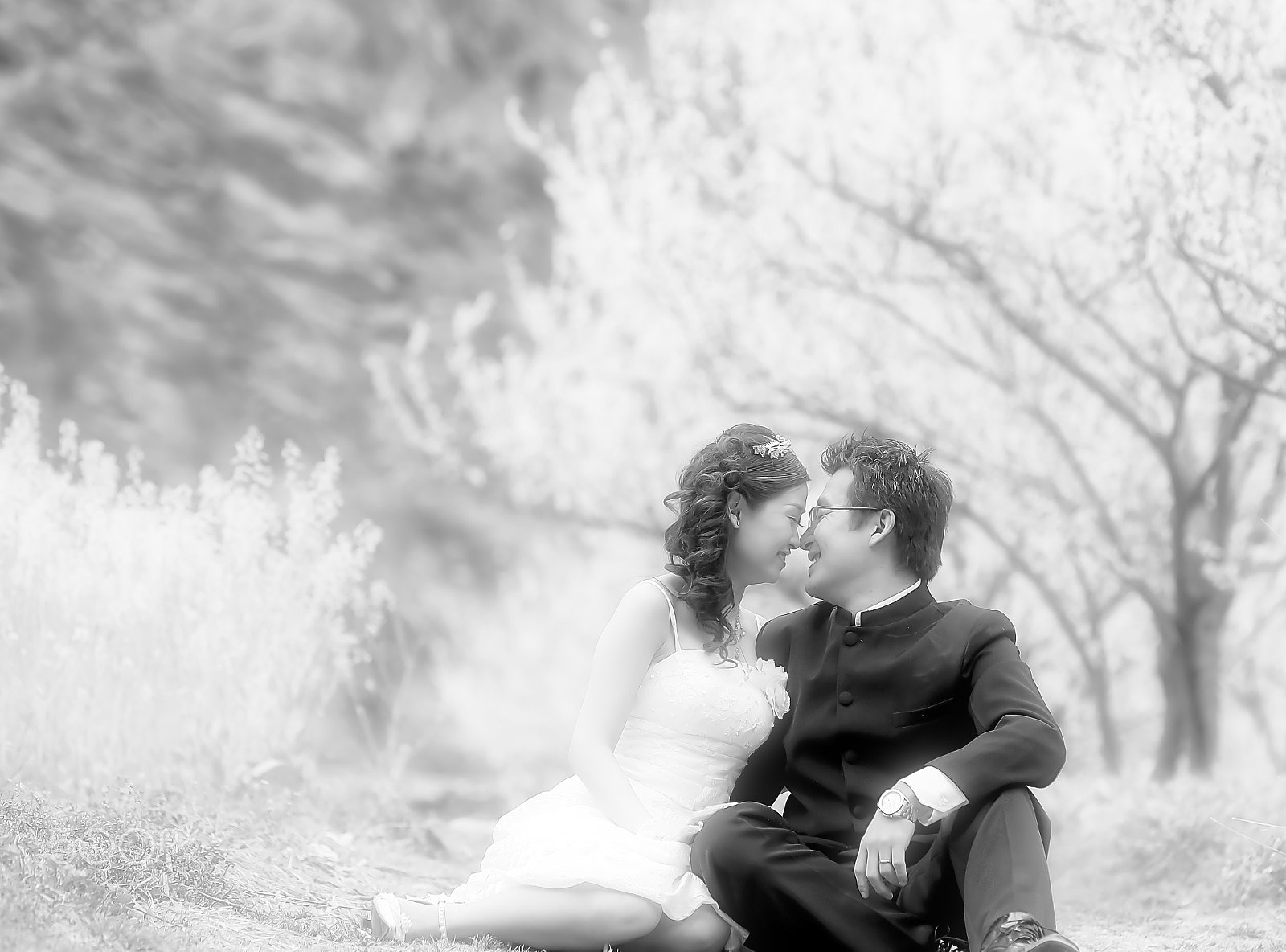 Canon EOS-1Ds sample photo. Couple in love photography