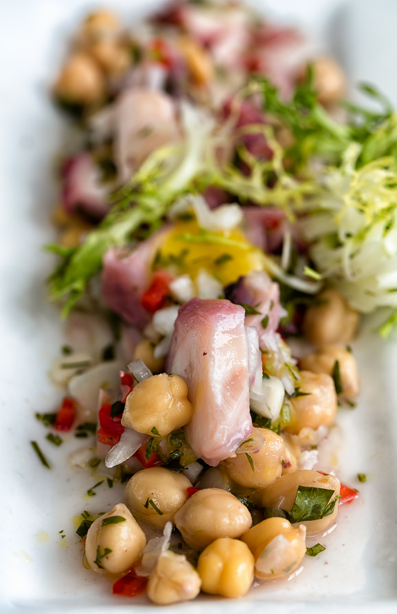 Canon EOS 5DS + Canon EF 100mm F2.8L Macro IS USM sample photo. Octopus salad (at the black whale) photography
