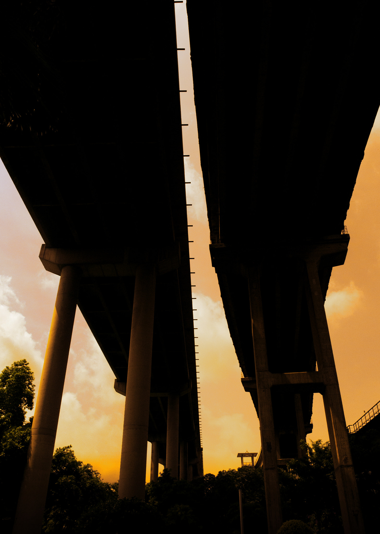 Nikon D300 + Samyang 16mm F2 ED AS UMC CS sample photo. Tomato soup photography