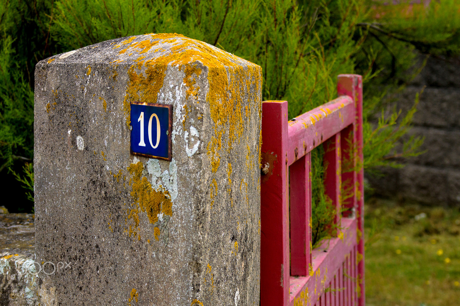 Sony 70-300mm F4.5-5.6 G SSM sample photo. No. 10 photography