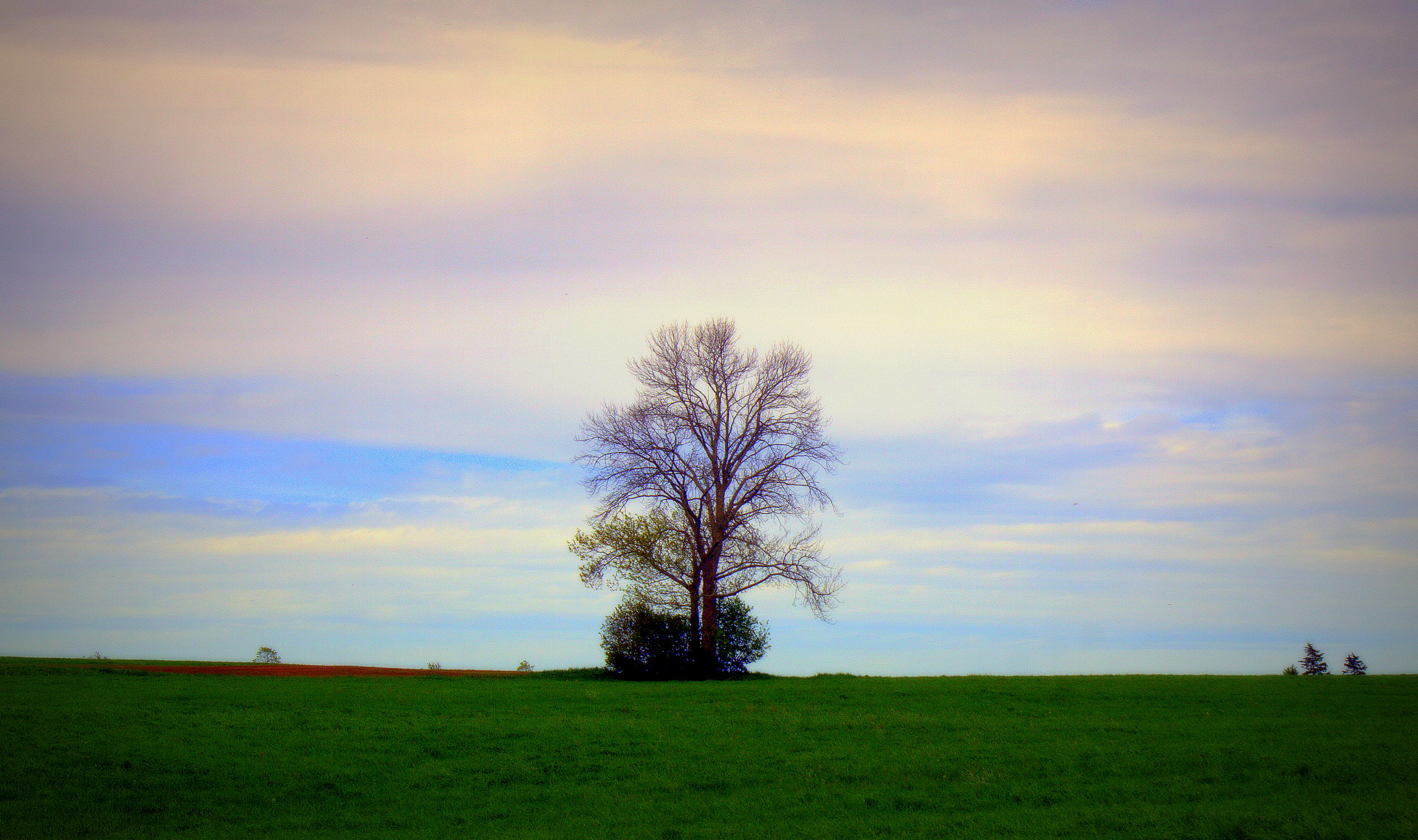 Canon EOS 50D sample photo. Standing strong photography