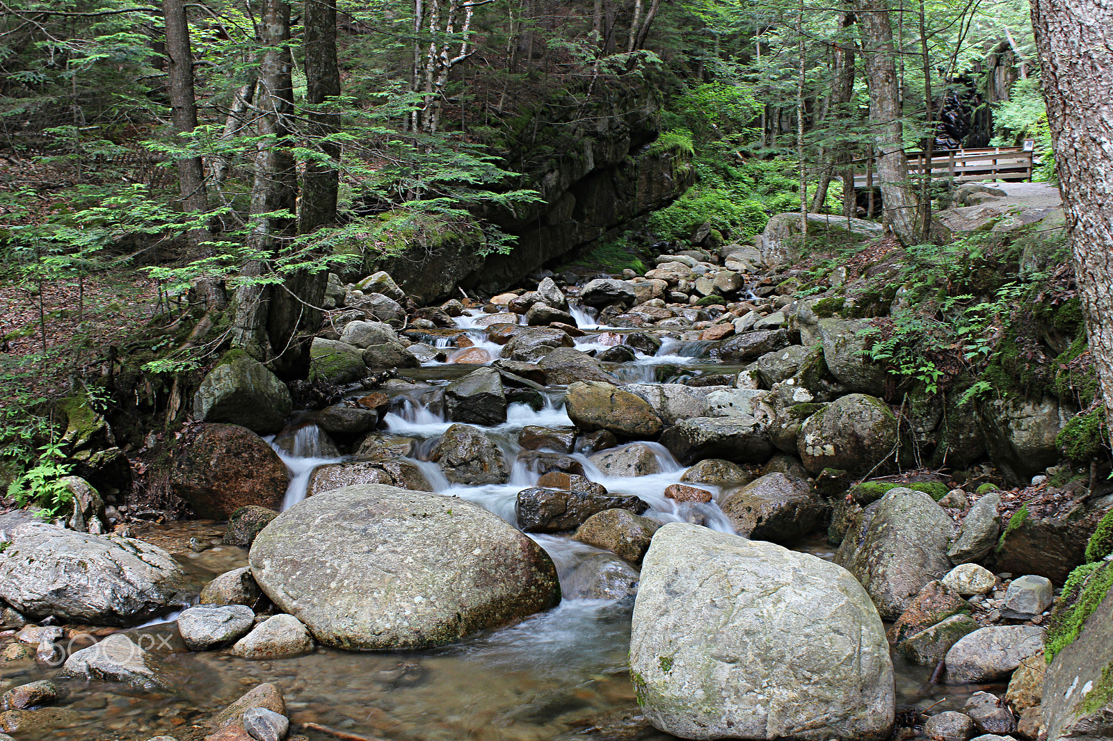 Canon EOS 600D (Rebel EOS T3i / EOS Kiss X5) + 18.0 - 55.0 mm sample photo. Little cascades photography