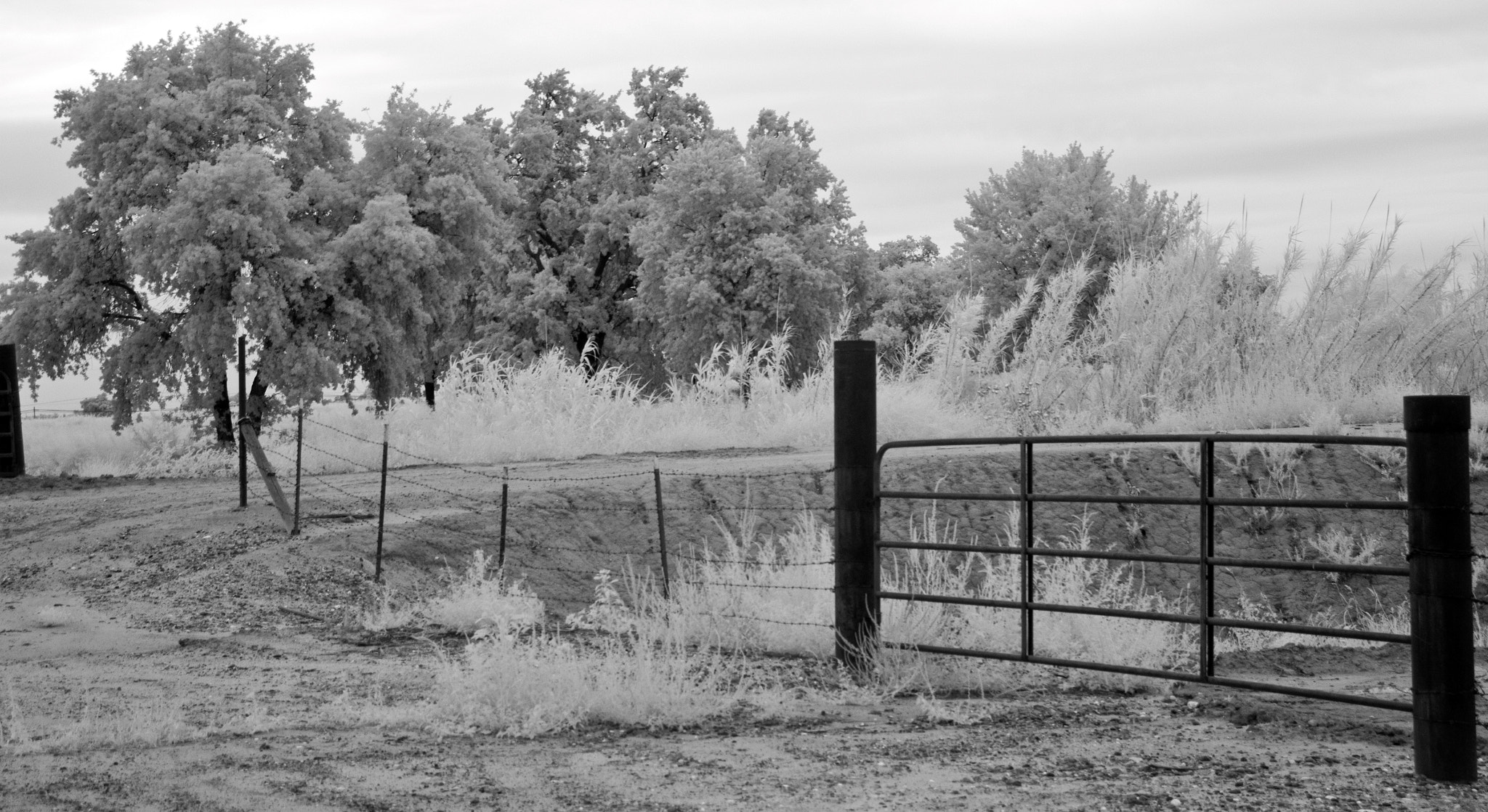 Canon EOS 600D (Rebel EOS T3i / EOS Kiss X5) + Tamron AF 18-250mm F3.5-6.3 Di II LD Aspherical (IF) Macro sample photo. Catalogue california infrared landscape with fence original high res photography