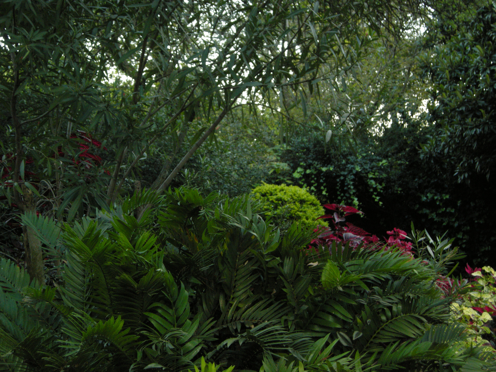 Nikon COOLPIX P5100 sample photo. Woodland  scene  photography