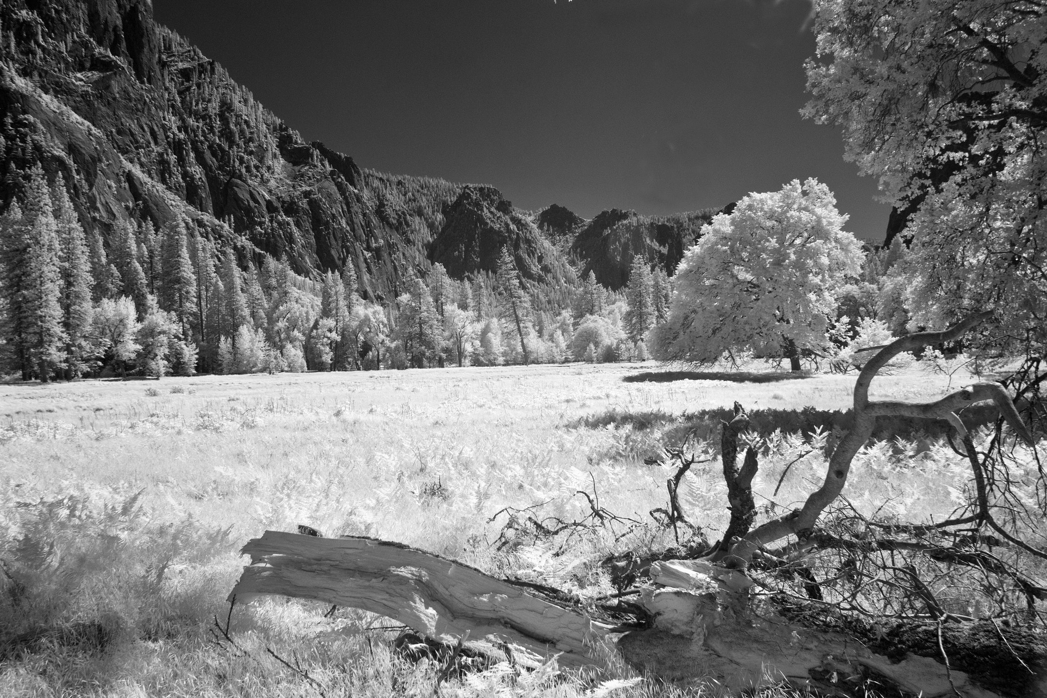 Canon EOS 600D (Rebel EOS T3i / EOS Kiss X5) + Canon EF 20mm F2.8 USM sample photo. Catalogue yosemite landscape infrared plain original high resolution photography