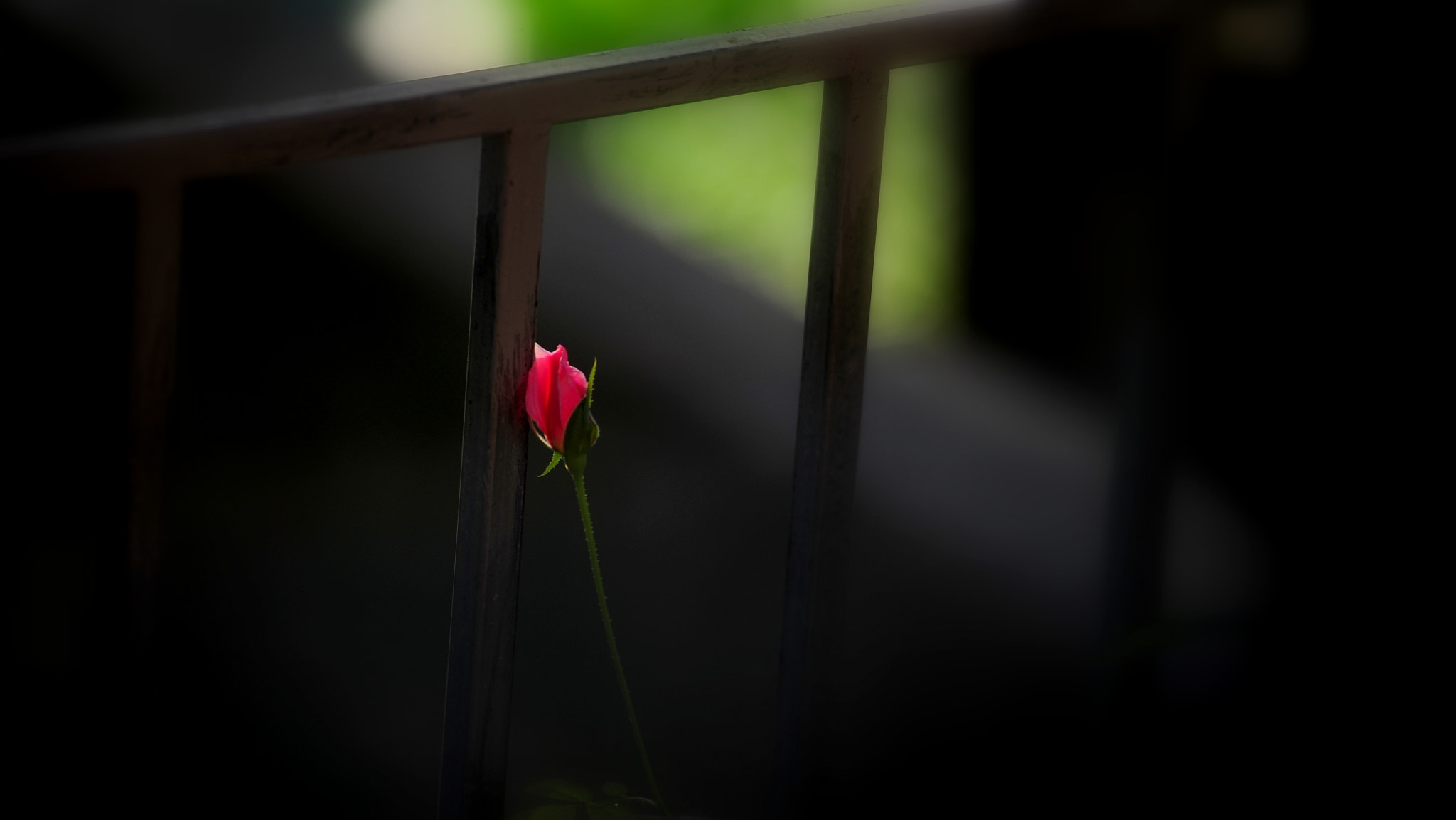 Nikon AF-Nikkor 80-200mm F2.8D ED sample photo. A morning photography