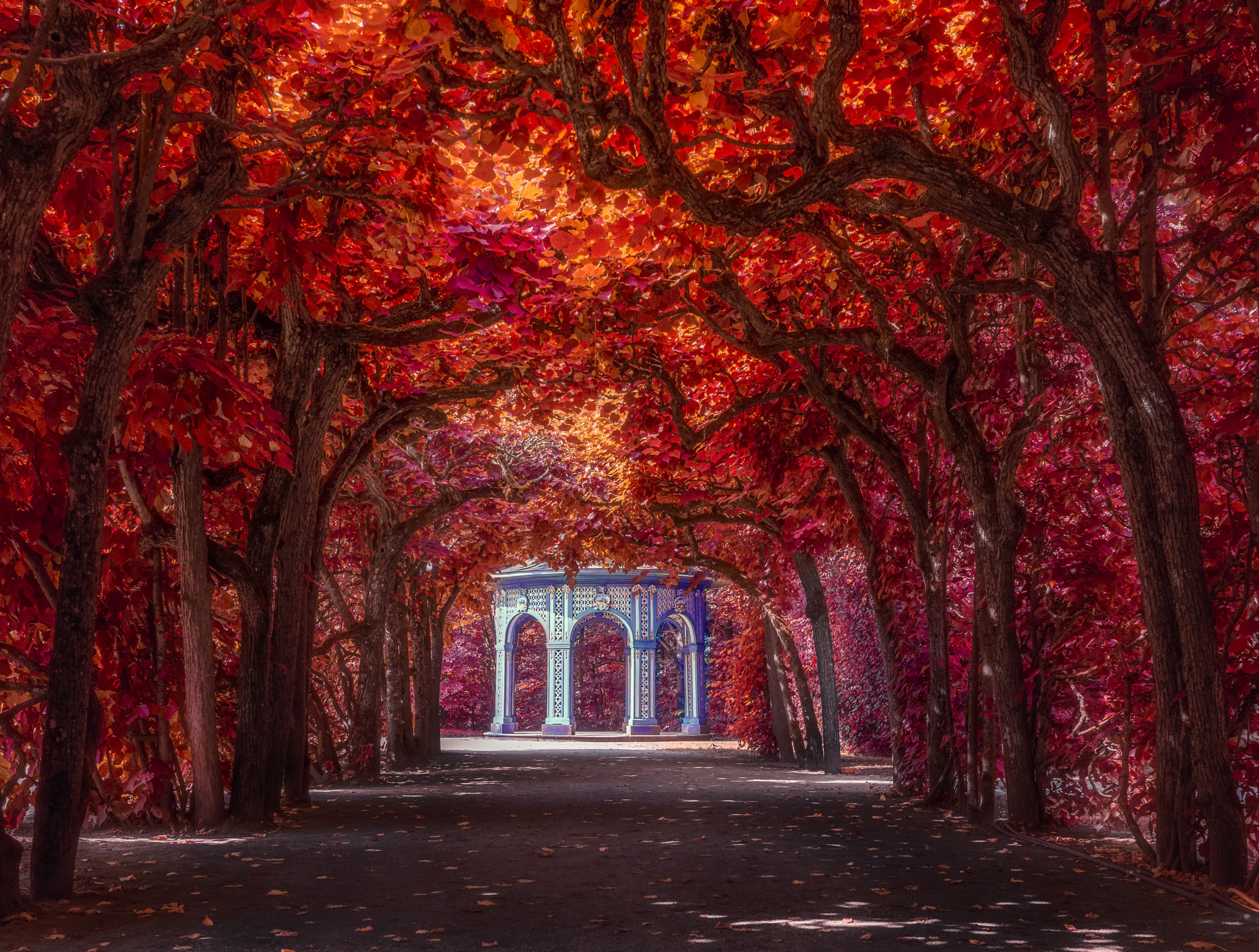 Nikon D800 + Samyang 35mm F1.4 AS UMC sample photo. Eremitage photography