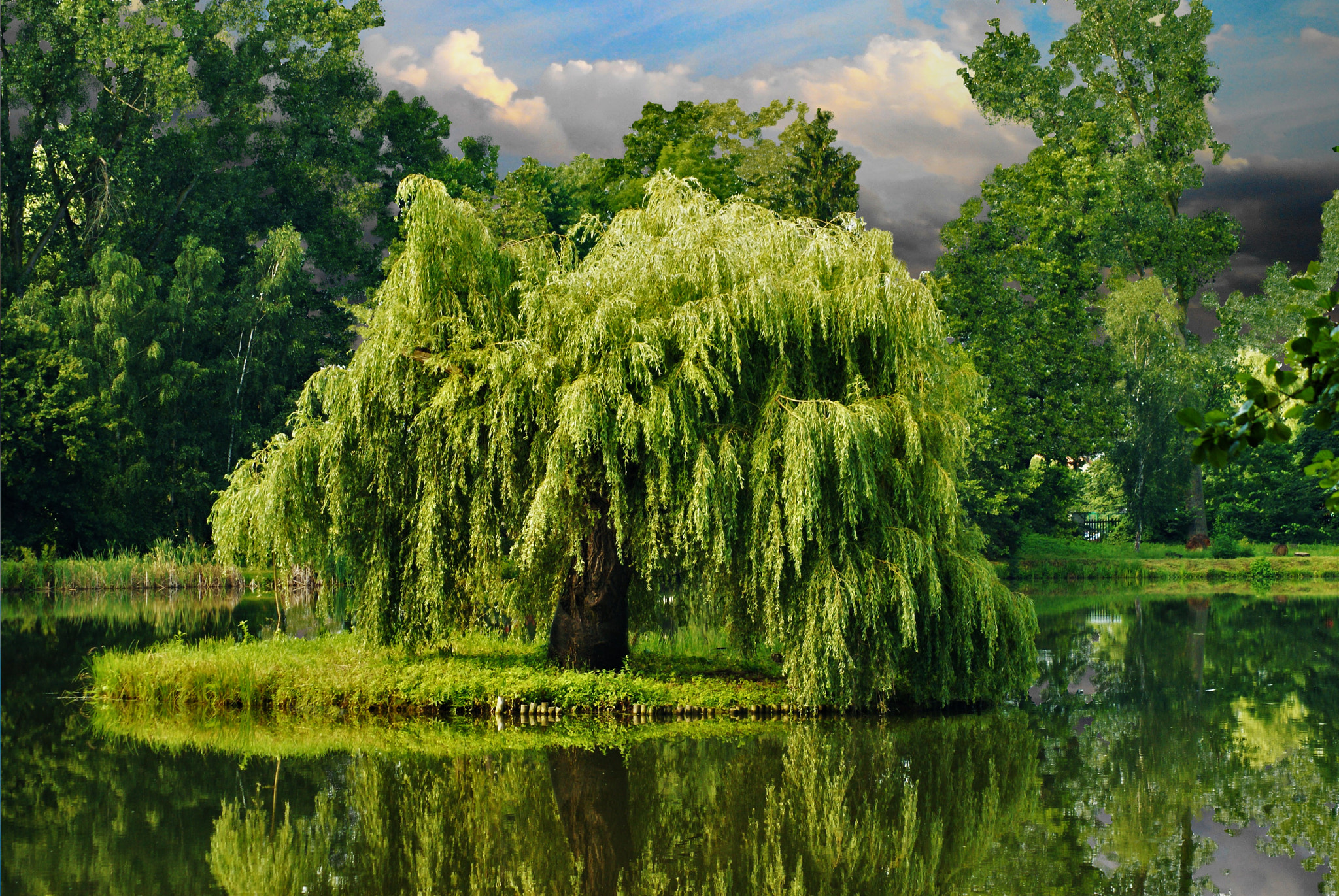 Sony Alpha DSLR-A300 + Sony DT 55-200mm F4-5.6 SAM sample photo. A calm before the storm photography