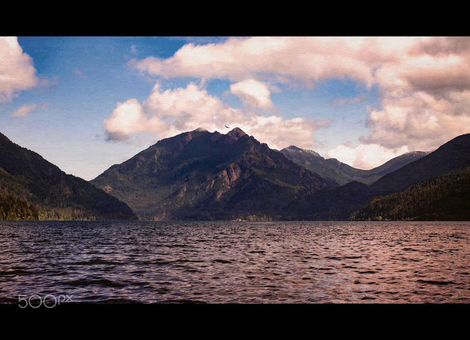 Canon EOS 50D + Canon EF 40mm F2.8 STM sample photo. ^ photography