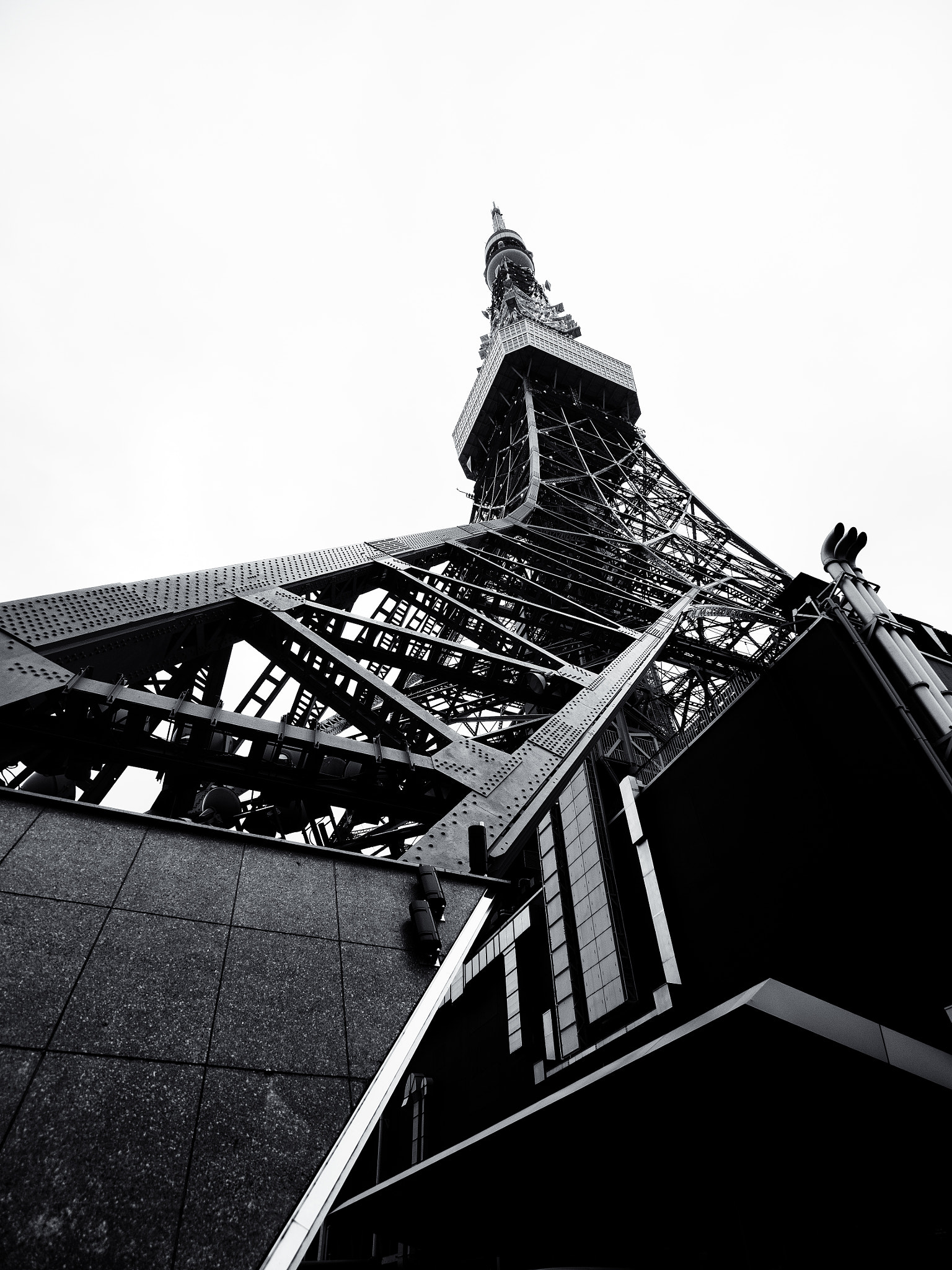 Olympus OM-D E-M1 + OLYMPUS M.9-18mm F4.0-5.6 sample photo. Tokyo tower photography