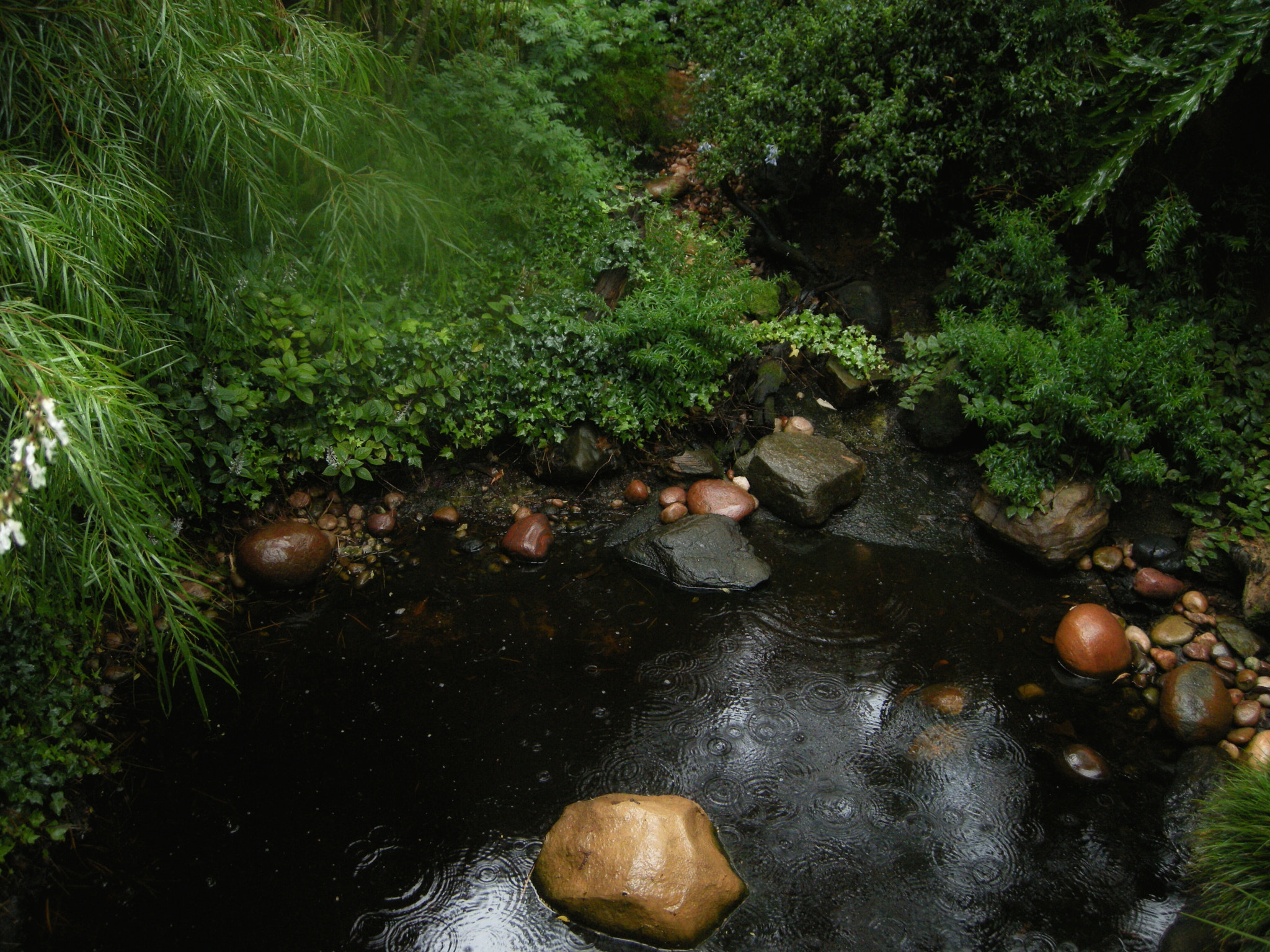 Nikon COOLPIX P5100 sample photo. Pond  in  sunken  garden  photography