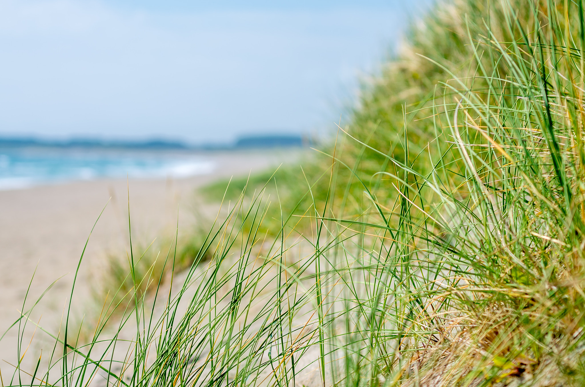 Pentax K-5 II sample photo. Ogna beach photography