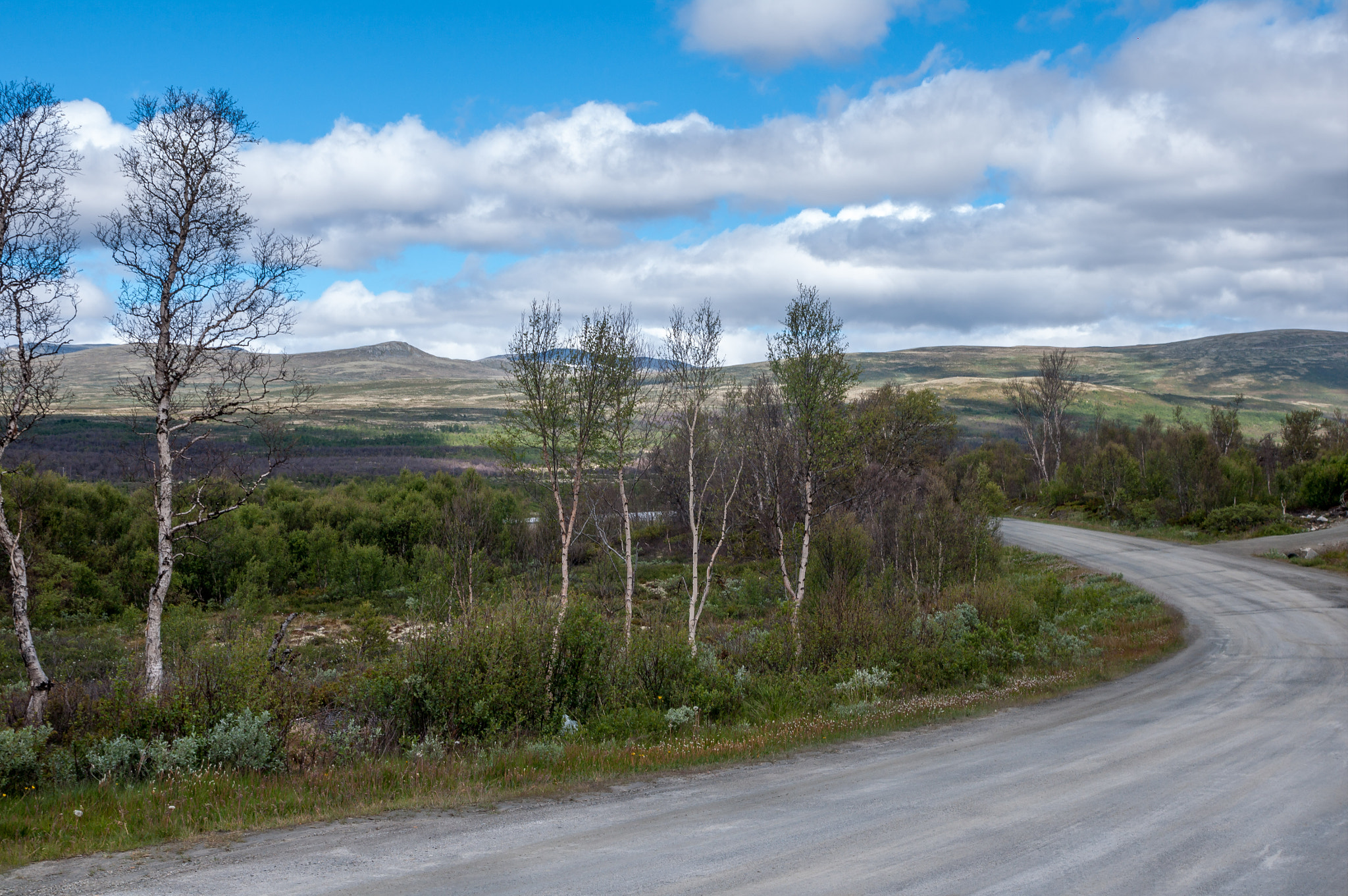 Pentax K-7 sample photo. Norwegian plateau photography