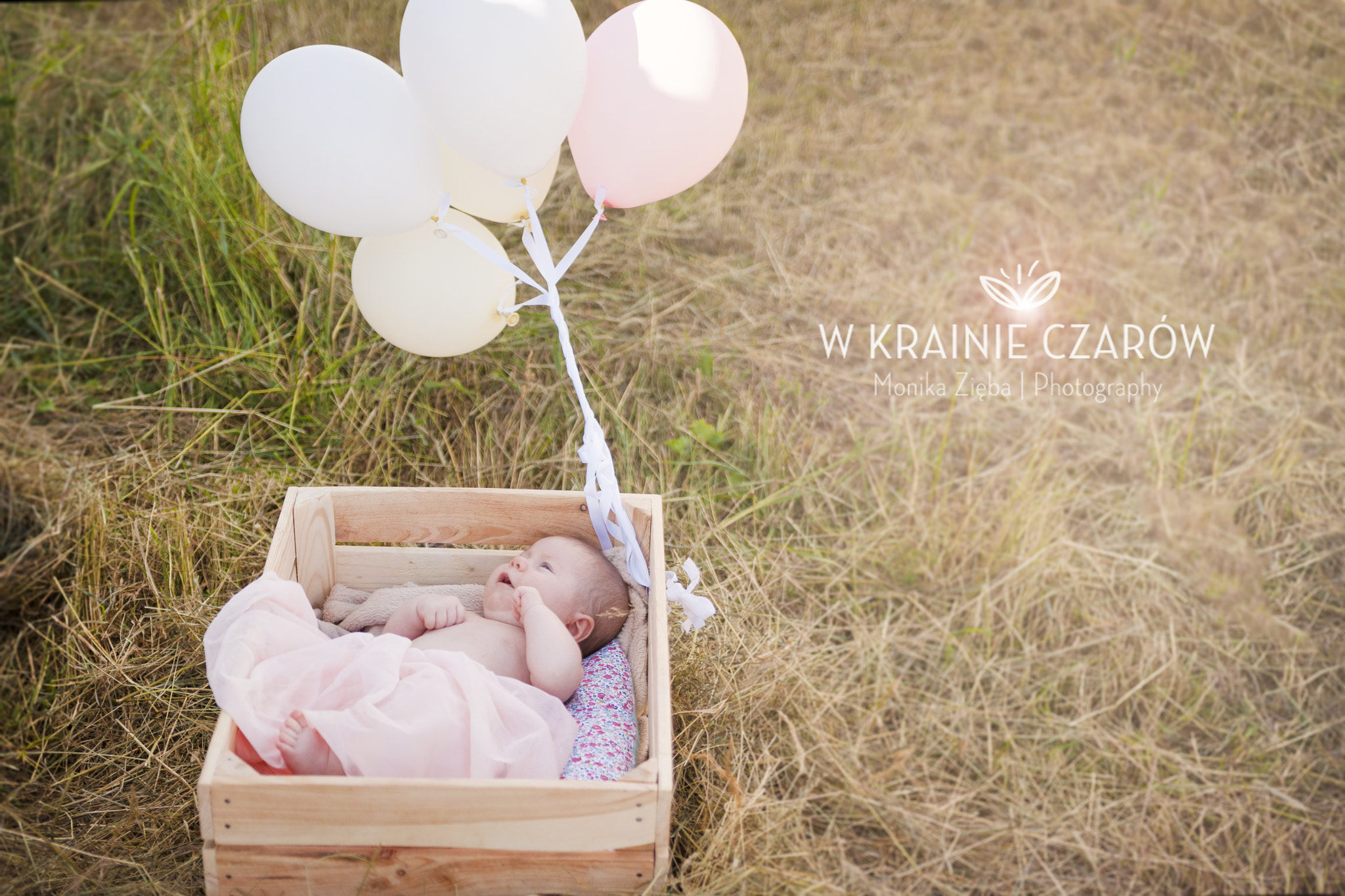 Pentax K200D + Sigma 18-35mm F1.8 DC HSM Art sample photo. Wonderland photography