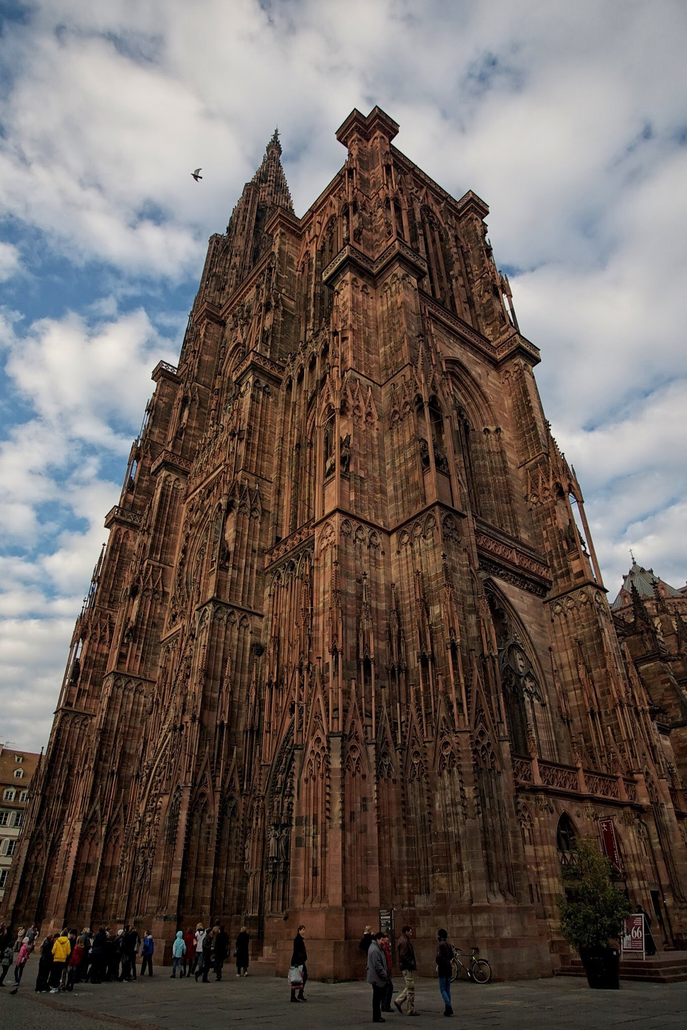 Canon EOS-1D + Canon EF 17-40mm F4L USM sample photo. Cathedral notred-dame de strasbourg photography
